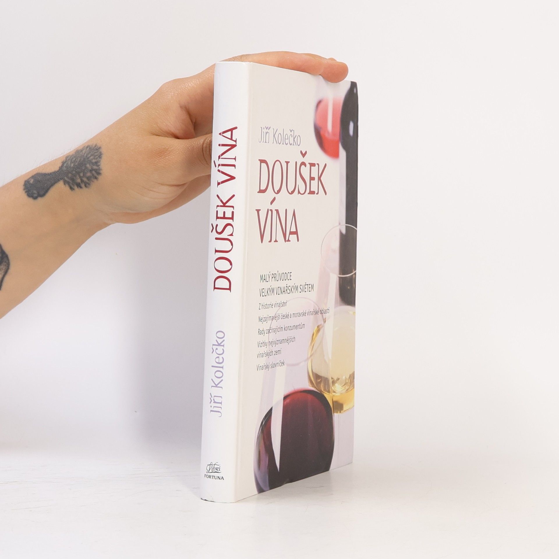 Jiří Kolečko Doušek vína: Malý průvodce velkým vinařským světem