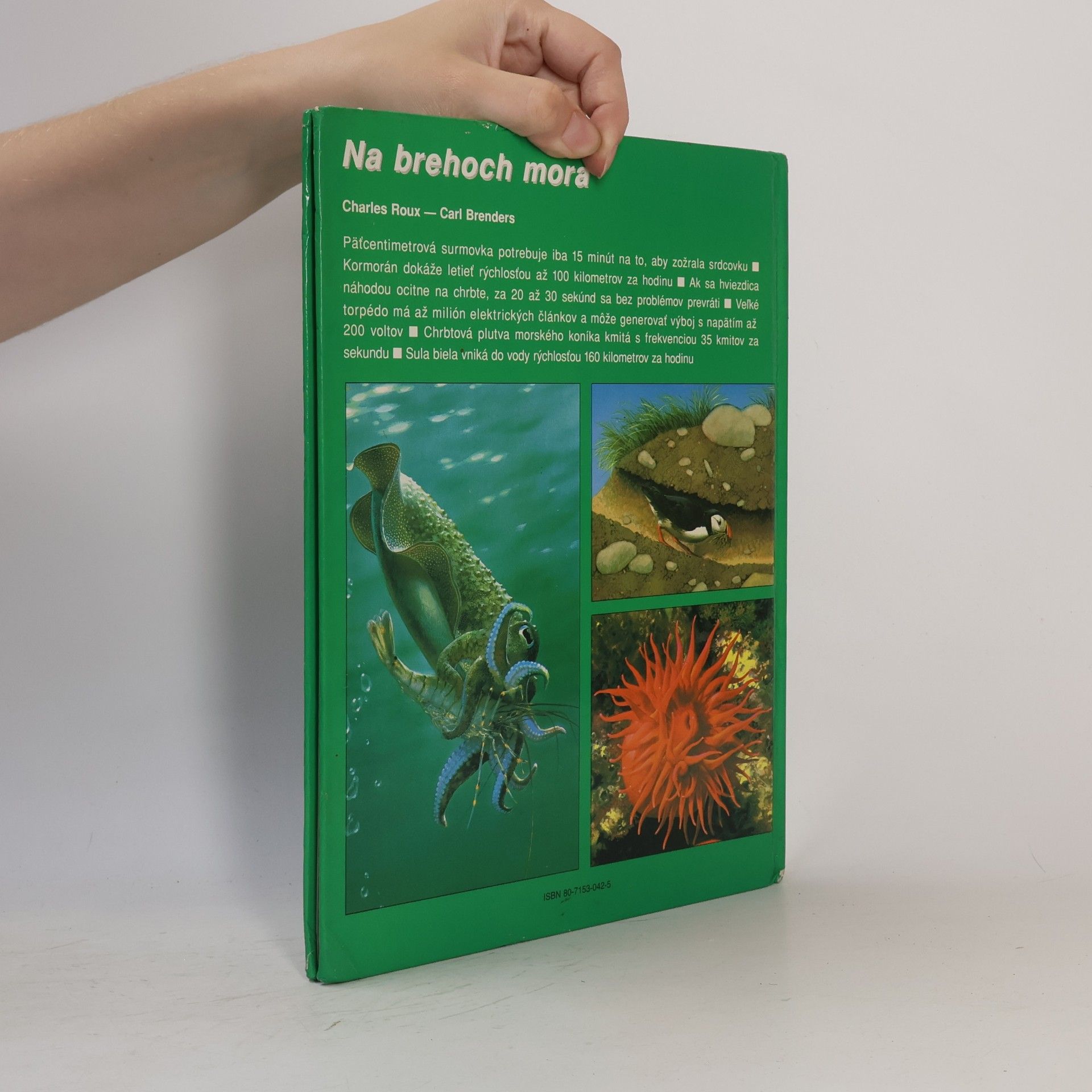 Carl Brenders Tajuplný život zvierat - Na brehoch mora