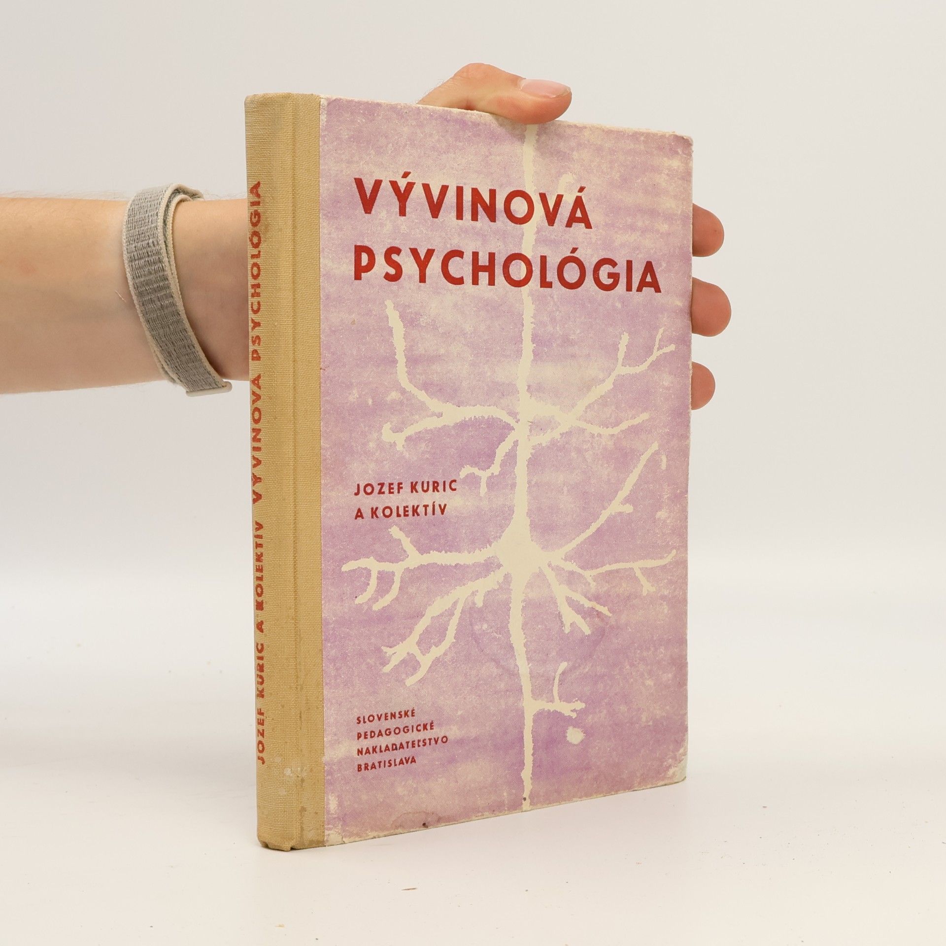 Collectif d'auteurs Vývinová psychológia
