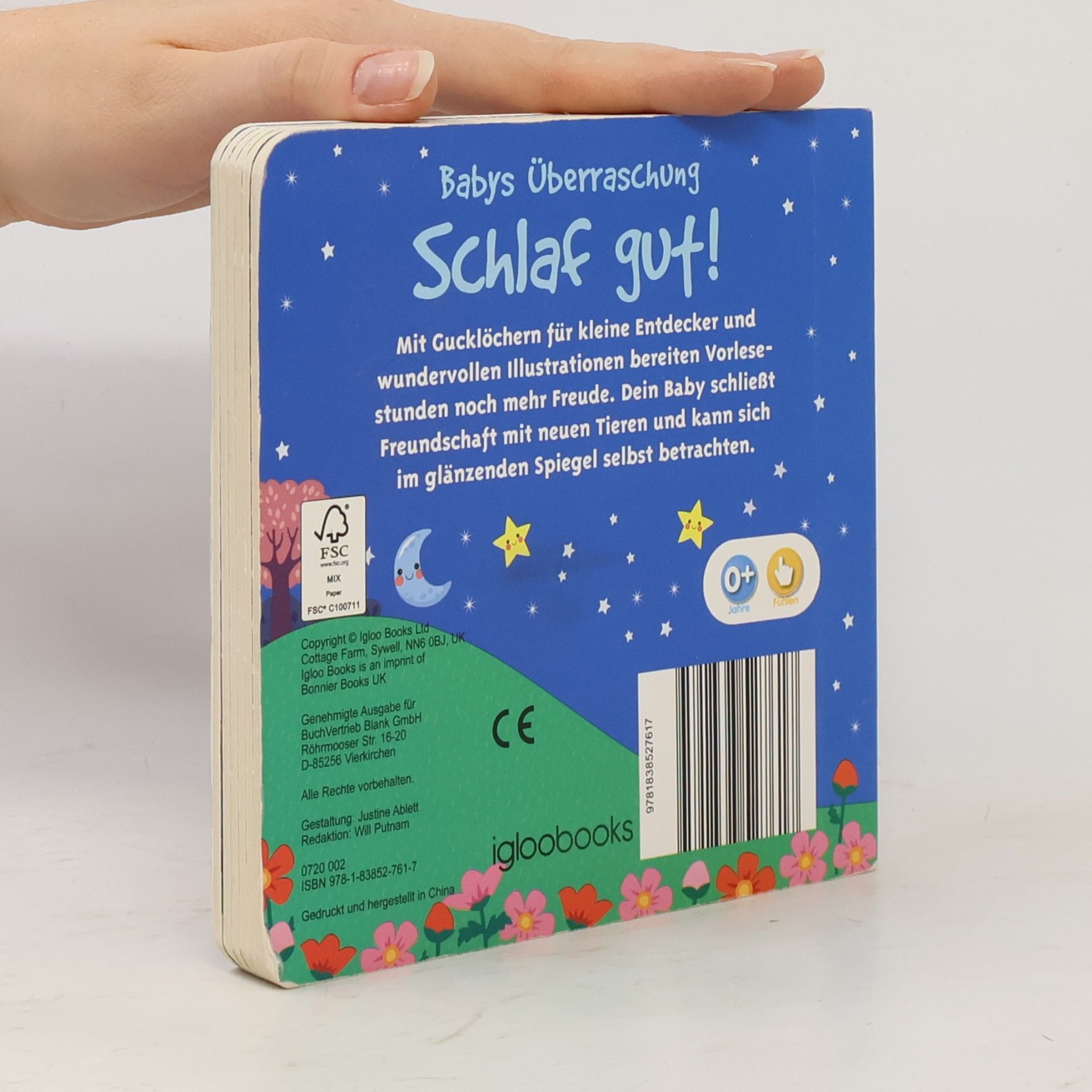 Autores varios Schlaf gut! Babys Überraschung