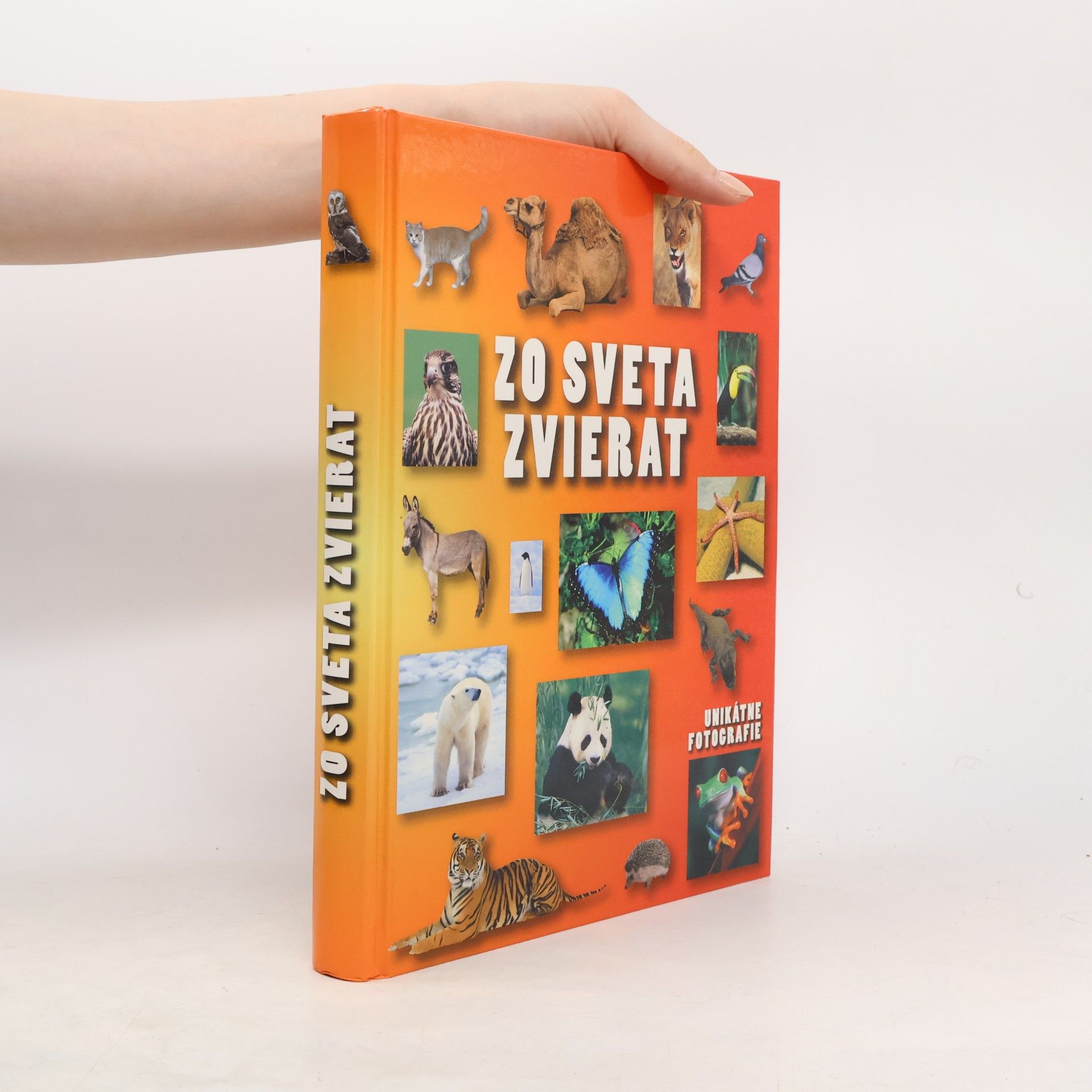 Autorenkollektiv Zo sveta zvierat