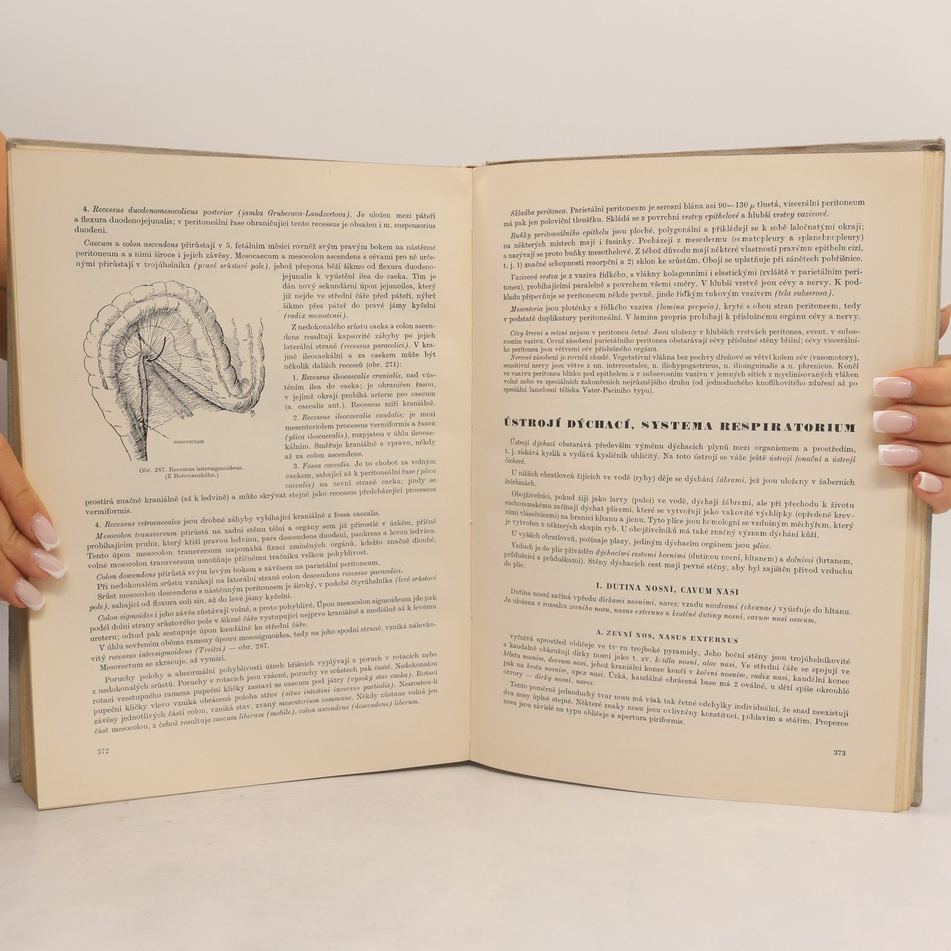 Kolektiv autorů Soustavná anatomie člověka I
