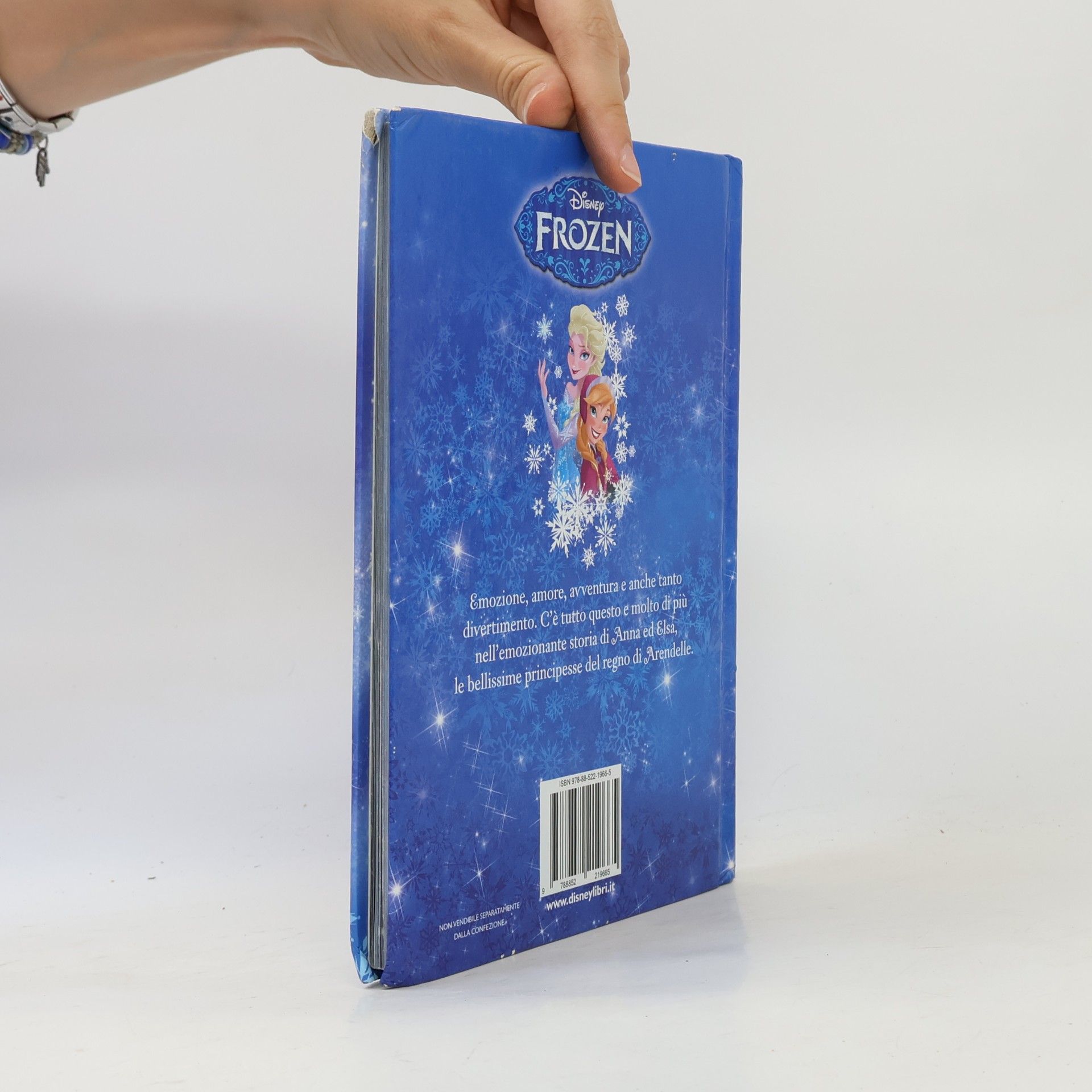 Walt Disney Company Frozen Disney