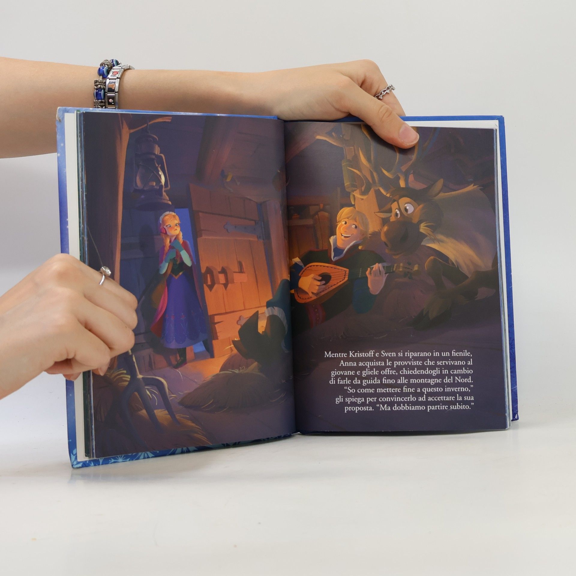 Walt Disney Company Frozen Disney