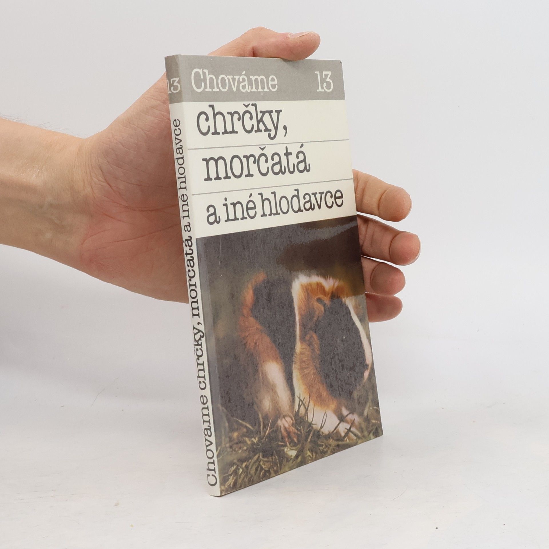 Bystrík Ambruš Chováme chrčky, morčatá a iné hlodavce