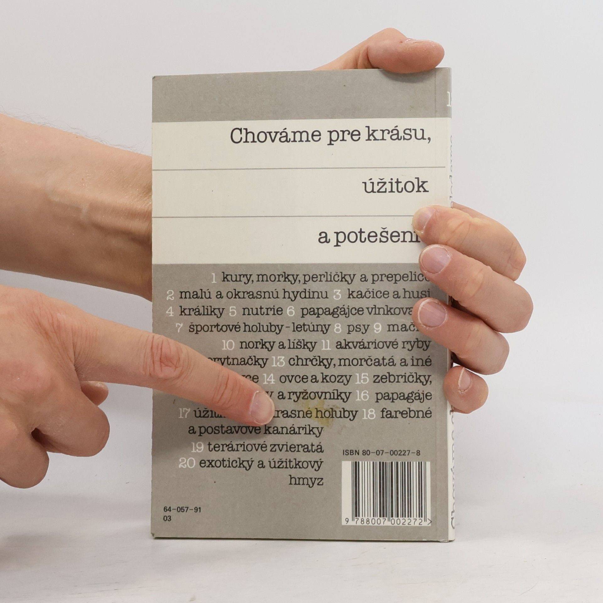 Bystrík Ambruš Chováme chrčky, morčatá a iné hlodavce
