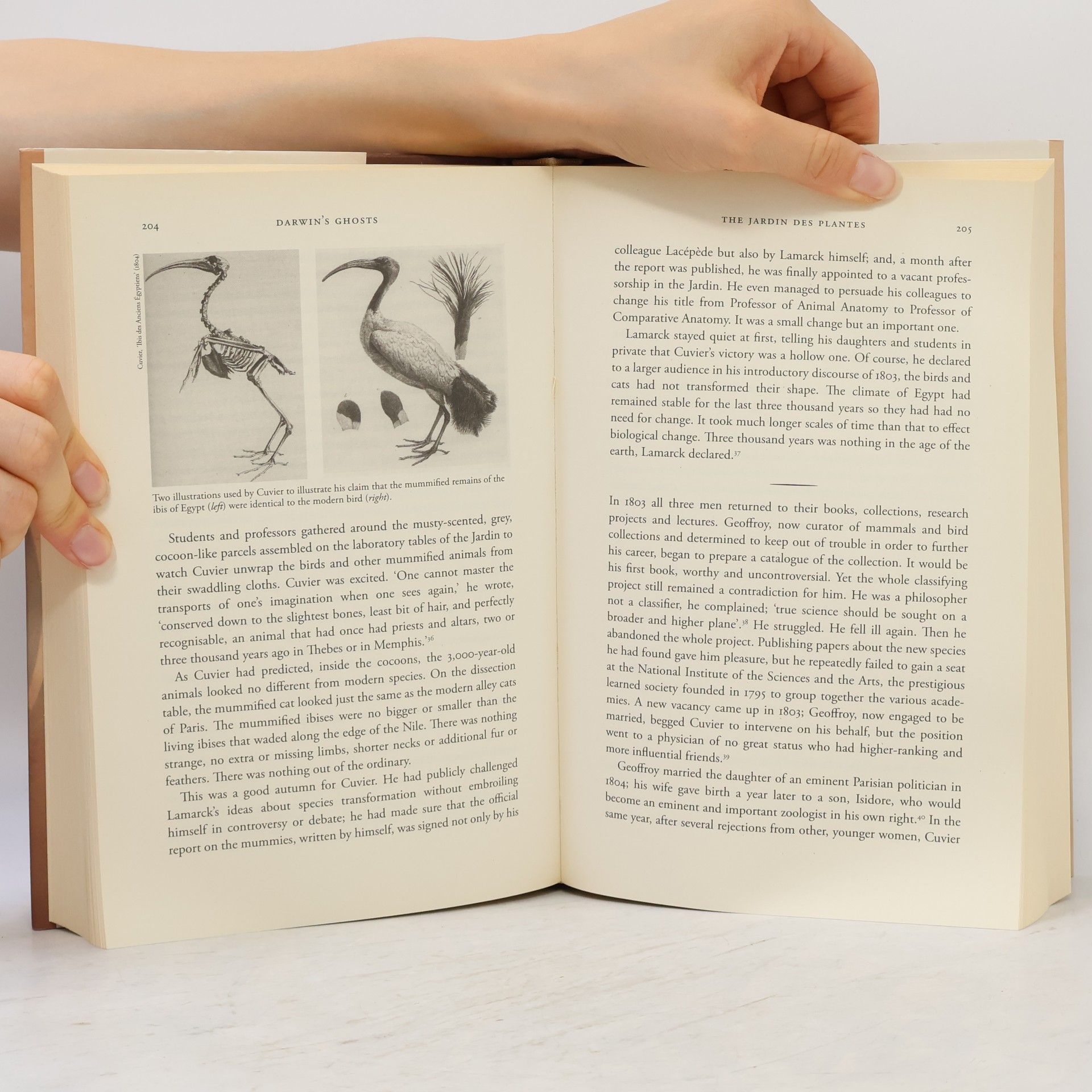 Rebecca Stott Darwin's Ghosts