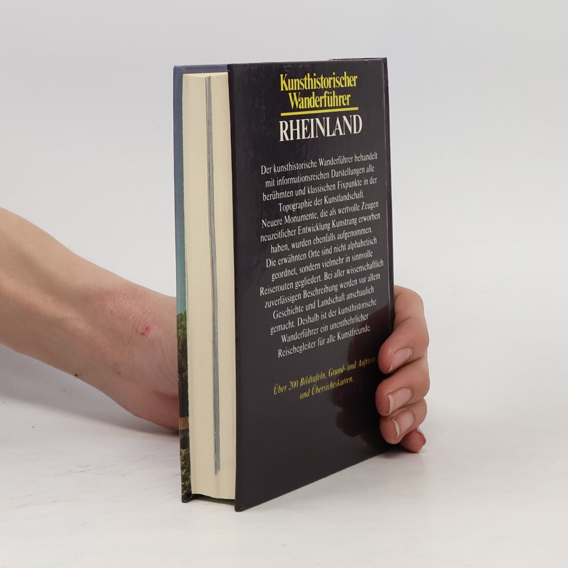 Roland Günter Kunsthistorischer Wanderführer - Rheinland