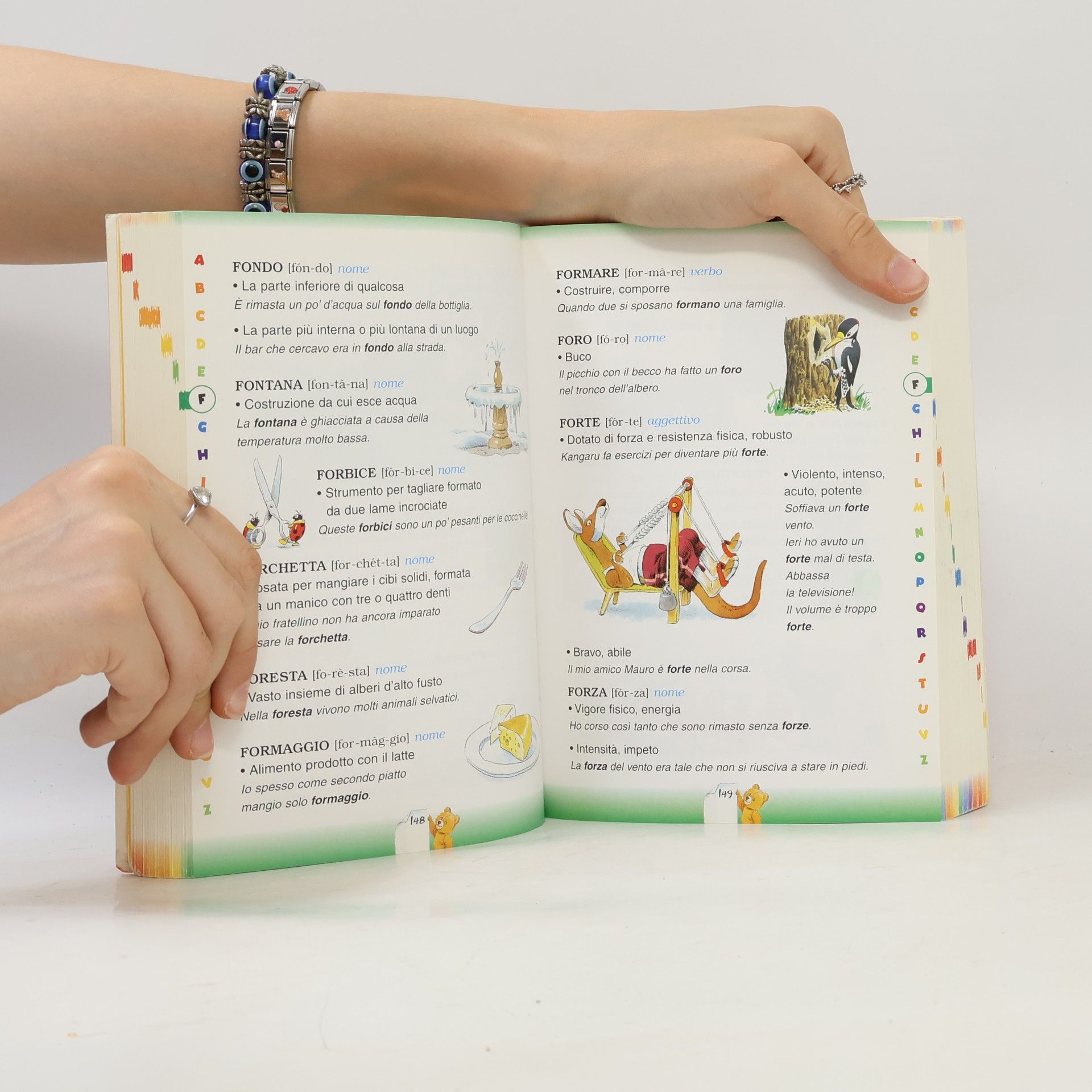Dizionario illustrato italiano (Dizionari ragazzi)