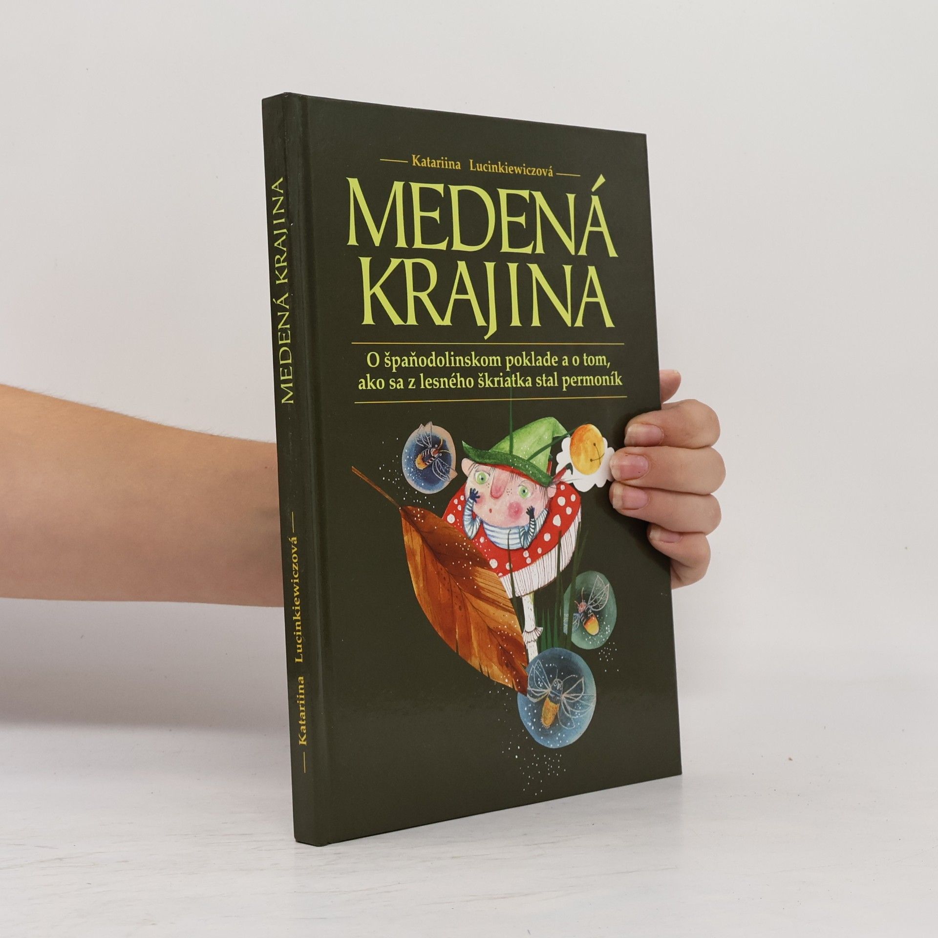 Katarína Lucinkiewiczová Medená krajina