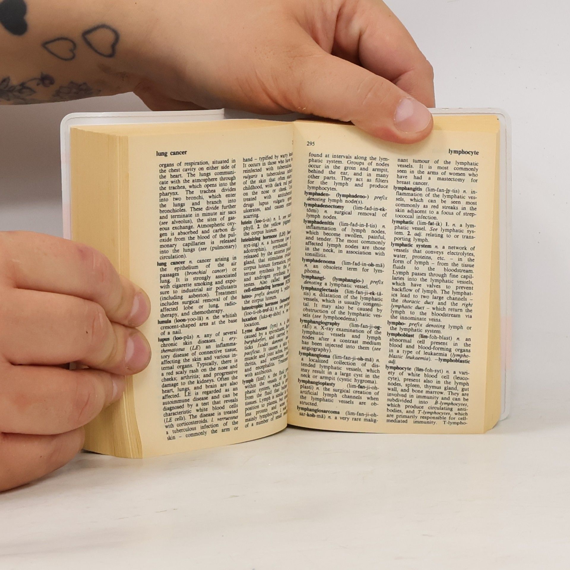 Autorenkollektiv Minidictionary for Nurses