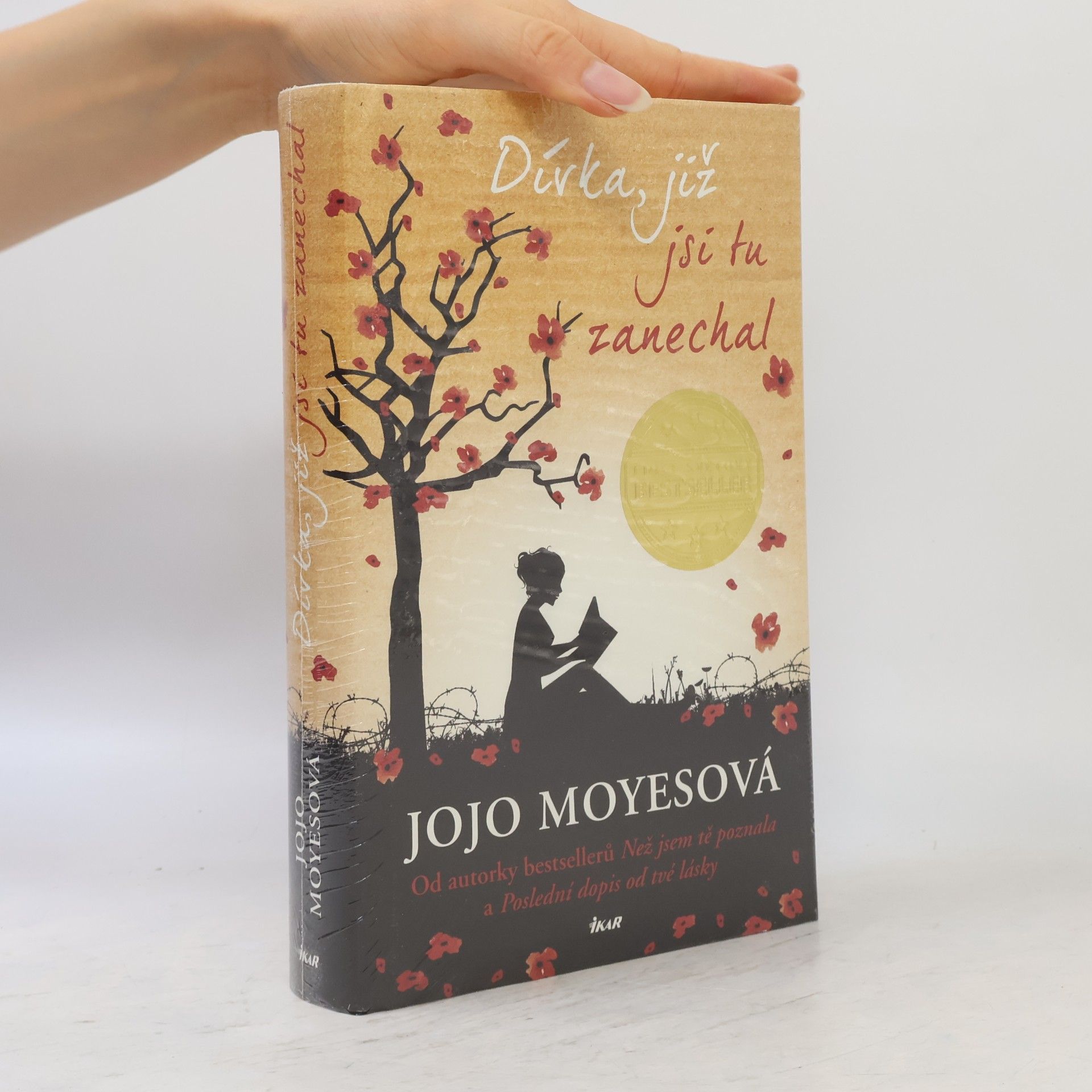 Jojo Moyes Dívka, již jsi tu zanechal