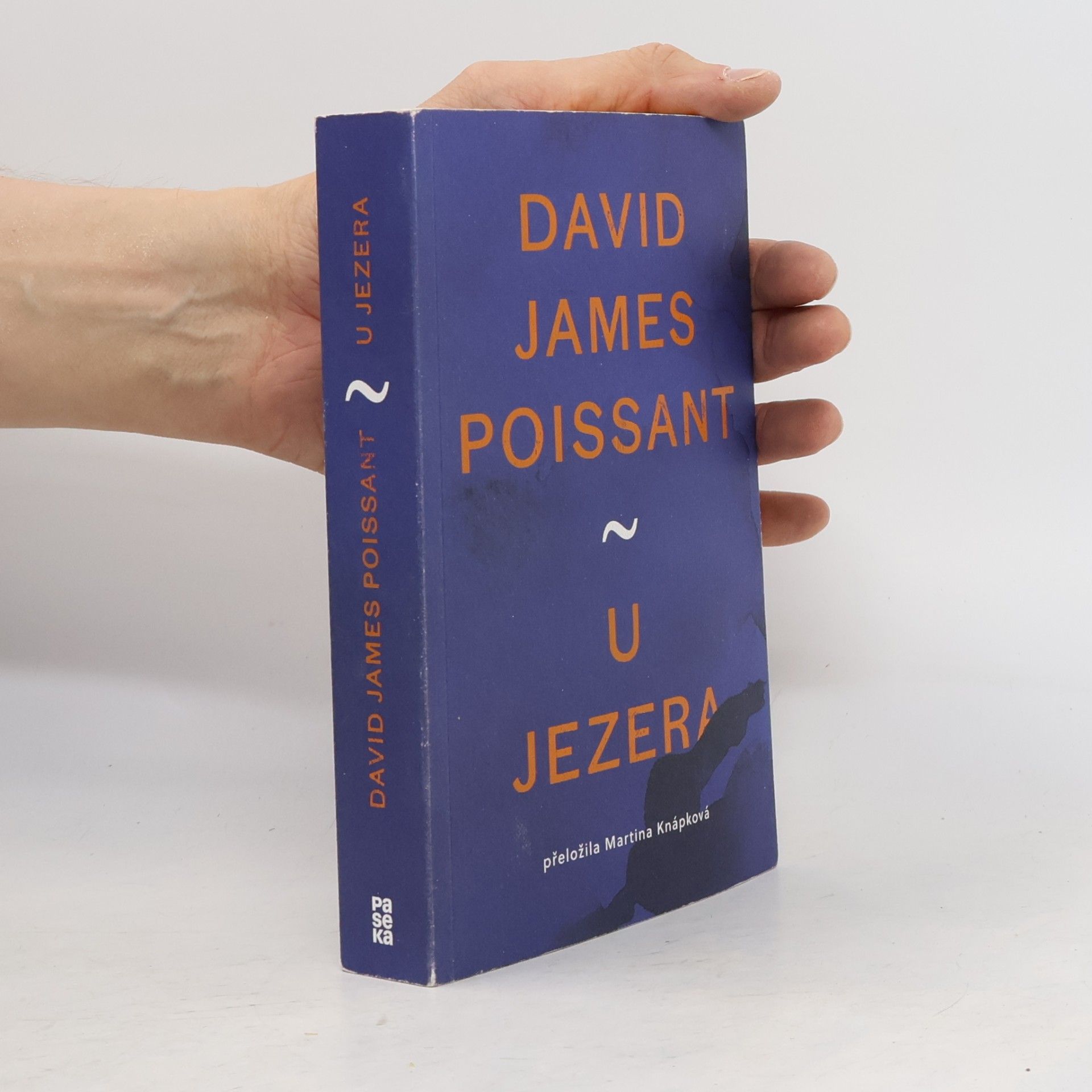 U jezera