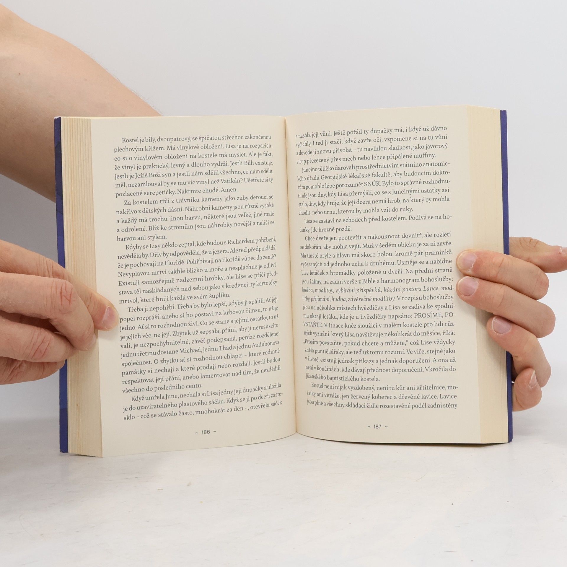 David James Poissant U jezera