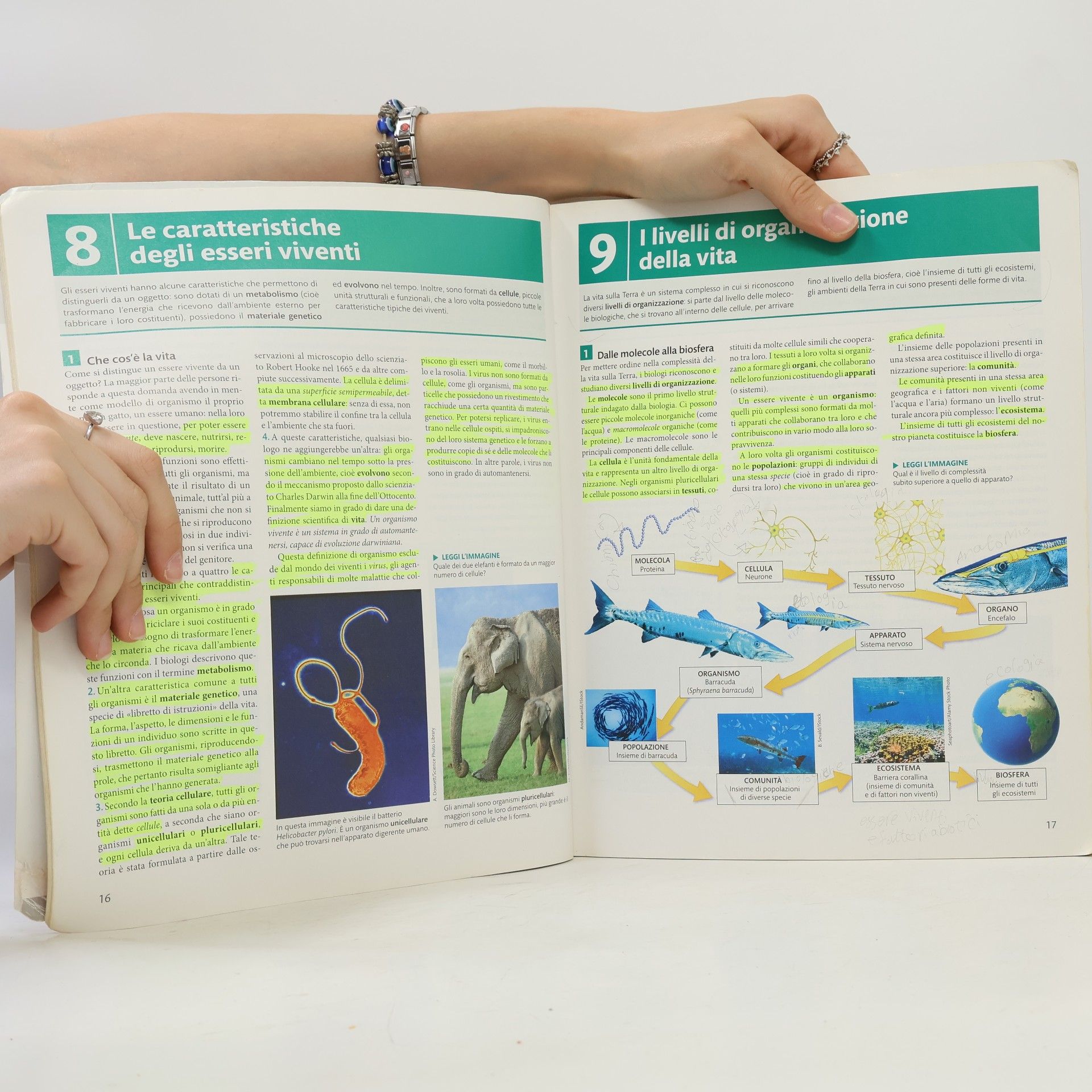 Silvia Saraceni #Vita edizione verde