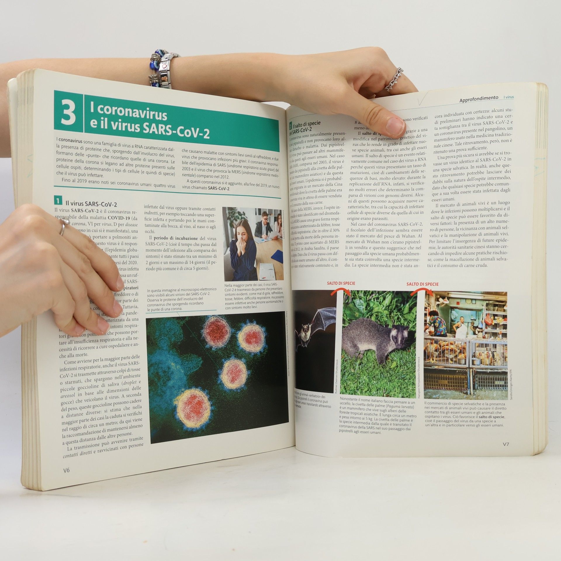 Silvia Saraceni #Vita edizione verde