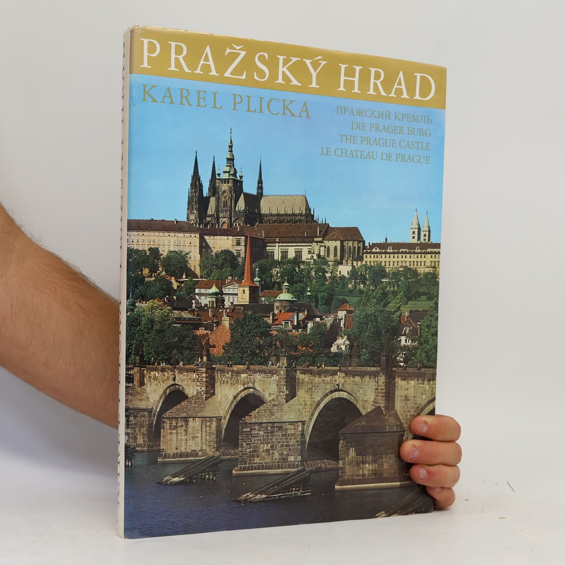 Karel Plicka Pražský hrad