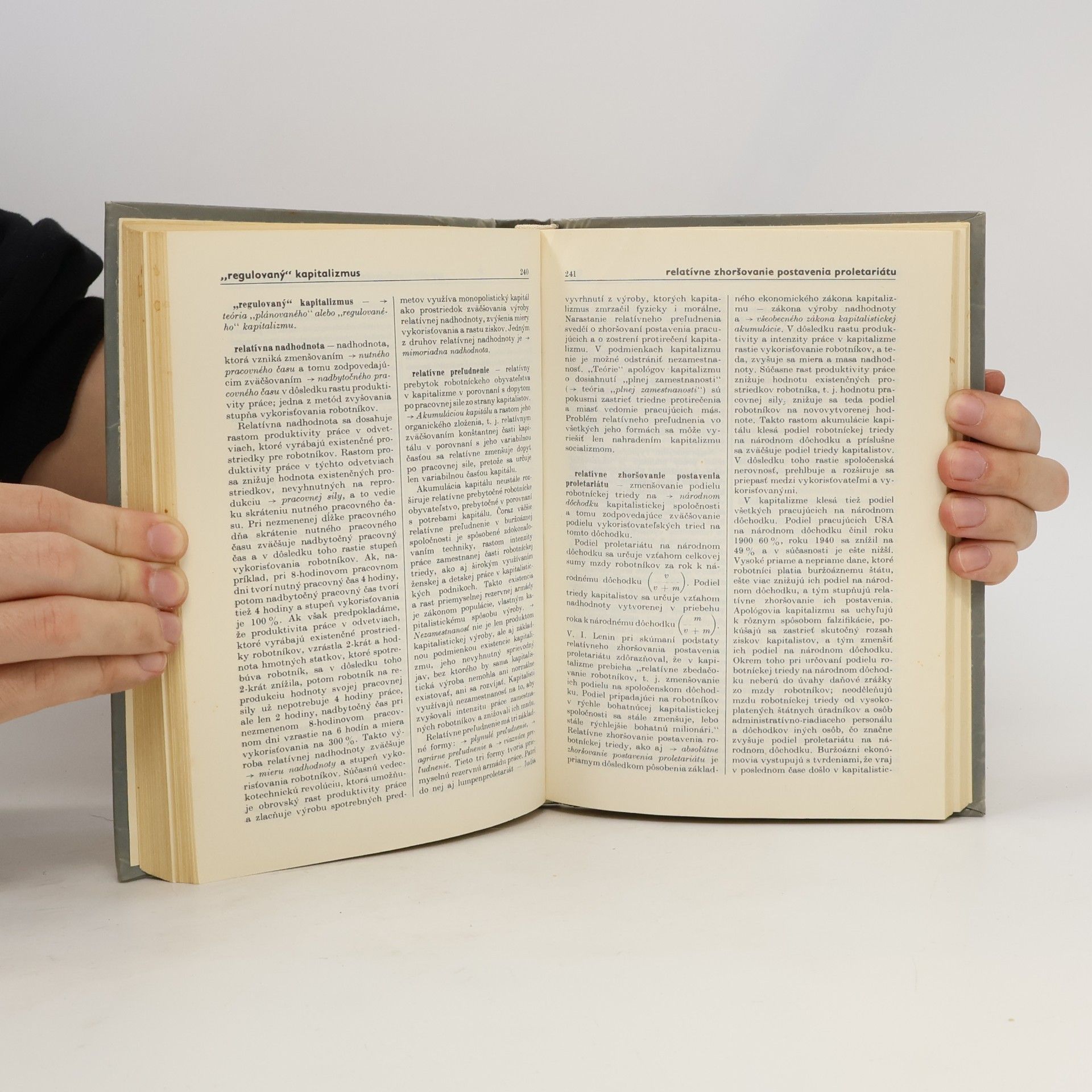 Autorenkollektiv Politicko-ekonomický slovník