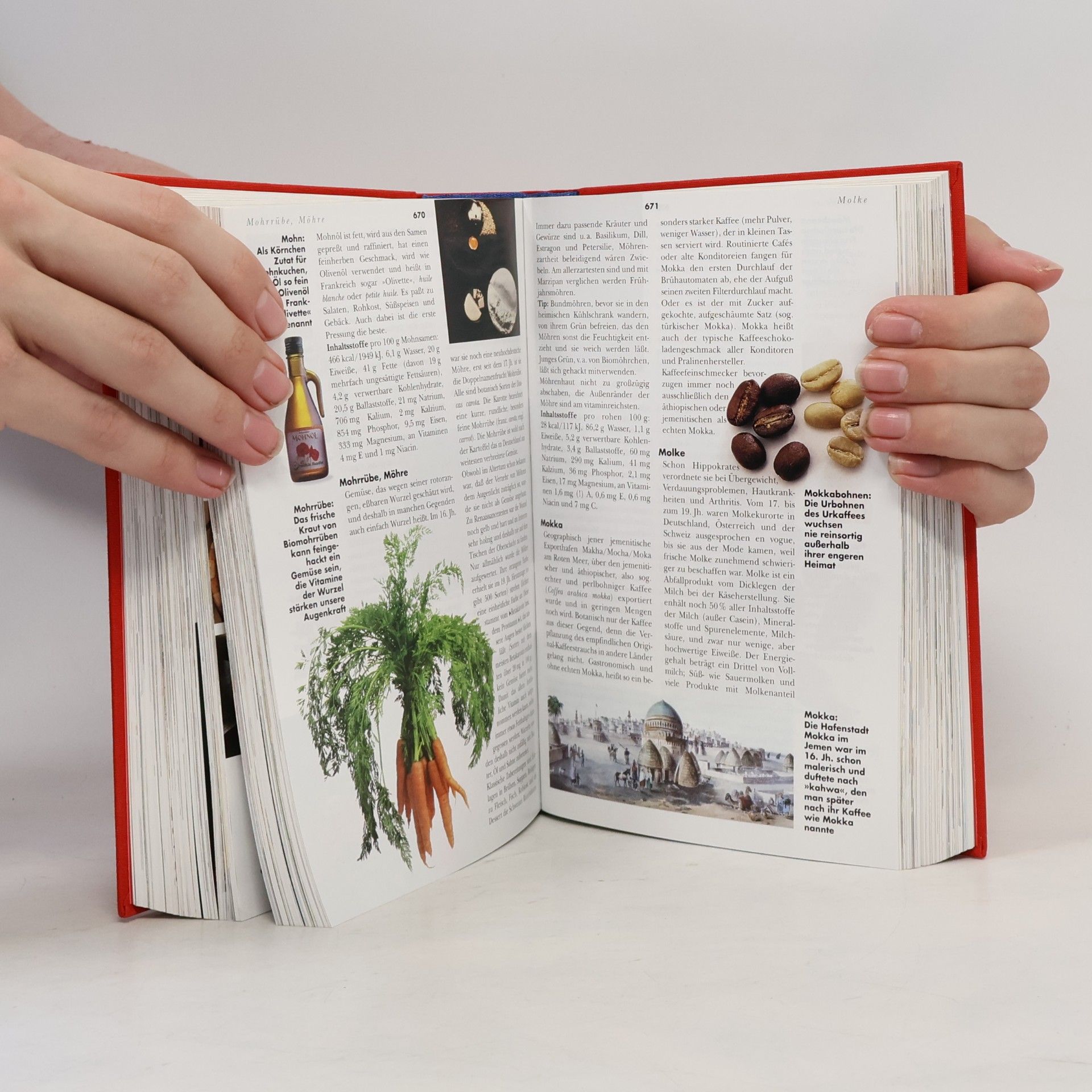 Udo Pini Das Gourmet Handbuch