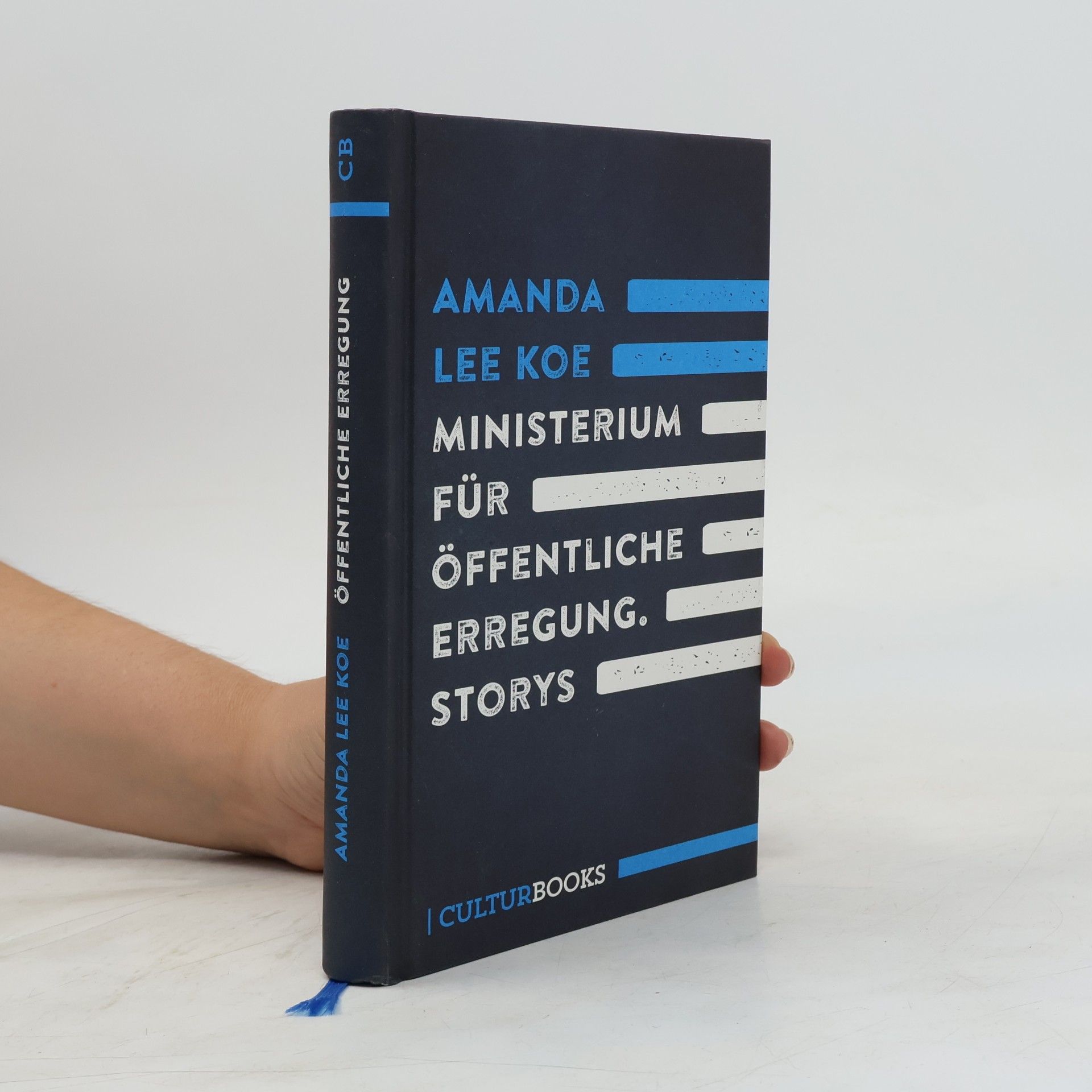 Amanda Lee Koe Ministerium für öffentliche Erregung
