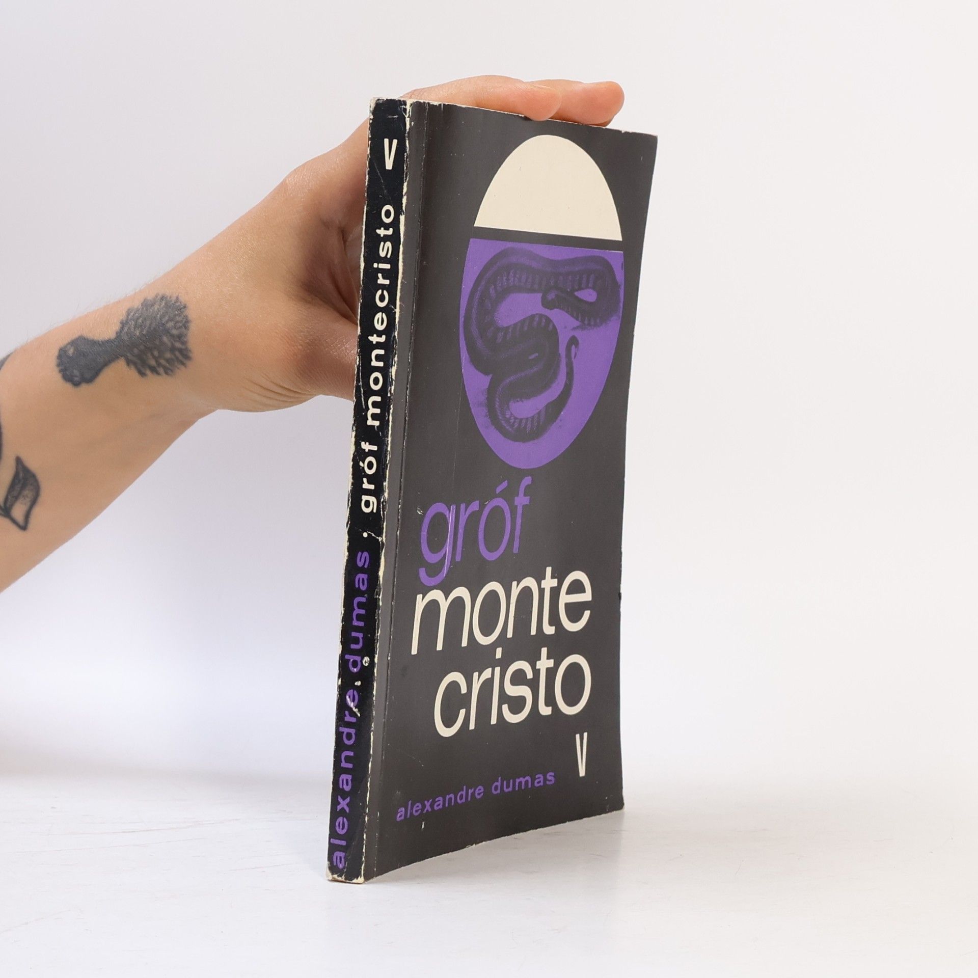 Alexandre Dumas der Ältere Gróf Montecristo V