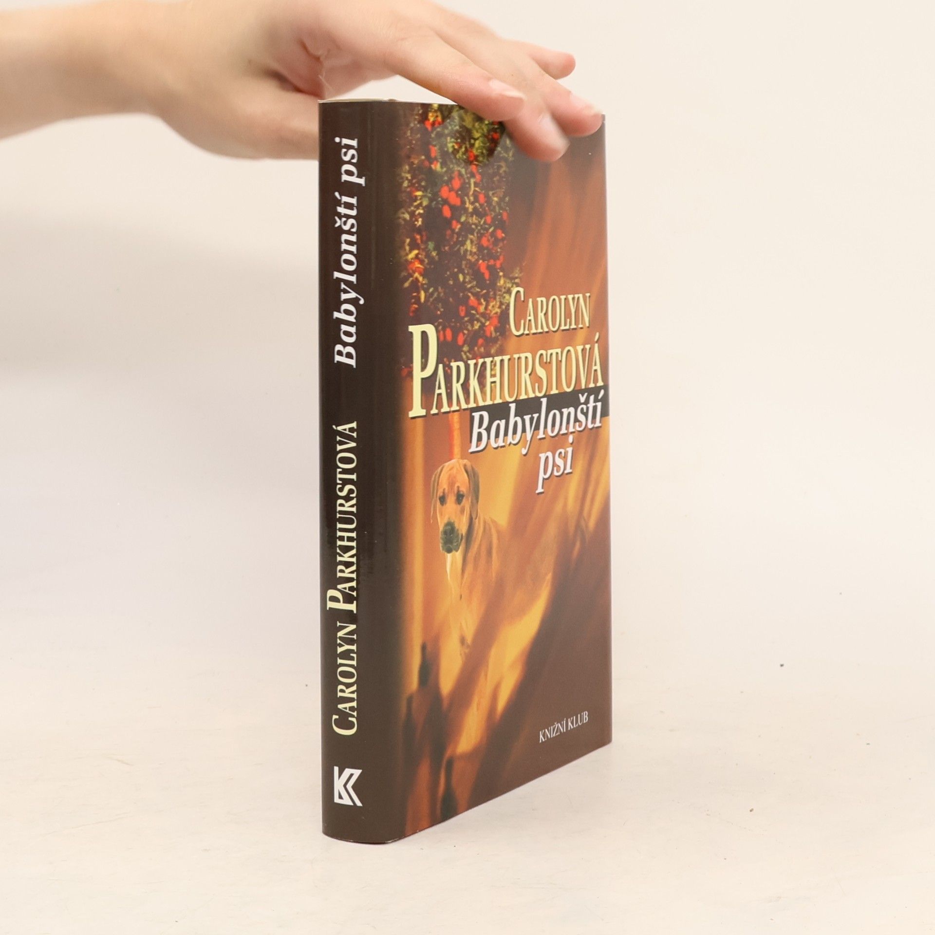 Carolyn Parkhurst Babylonští psi