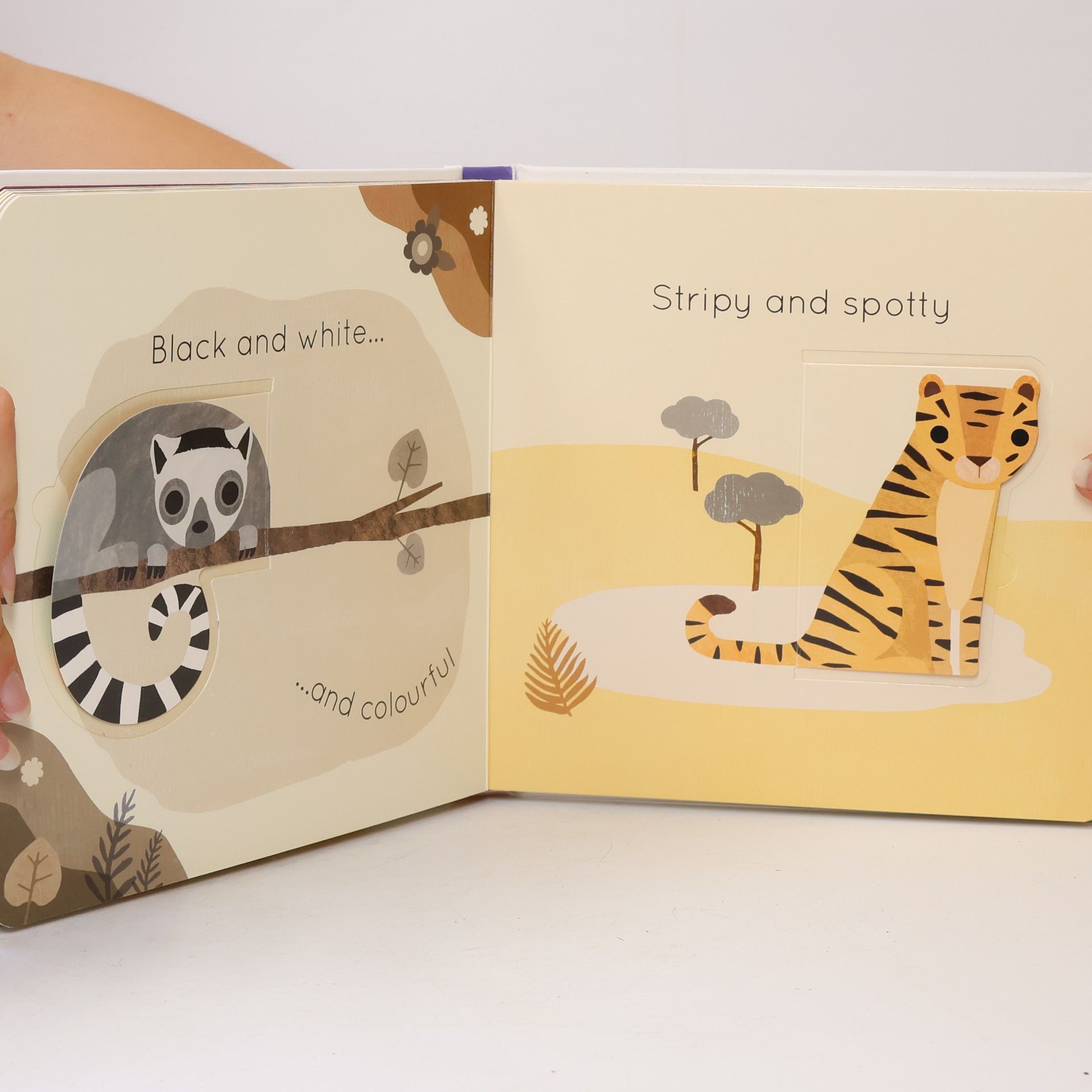 Harriet Evans Big and little. A book of animal opposites