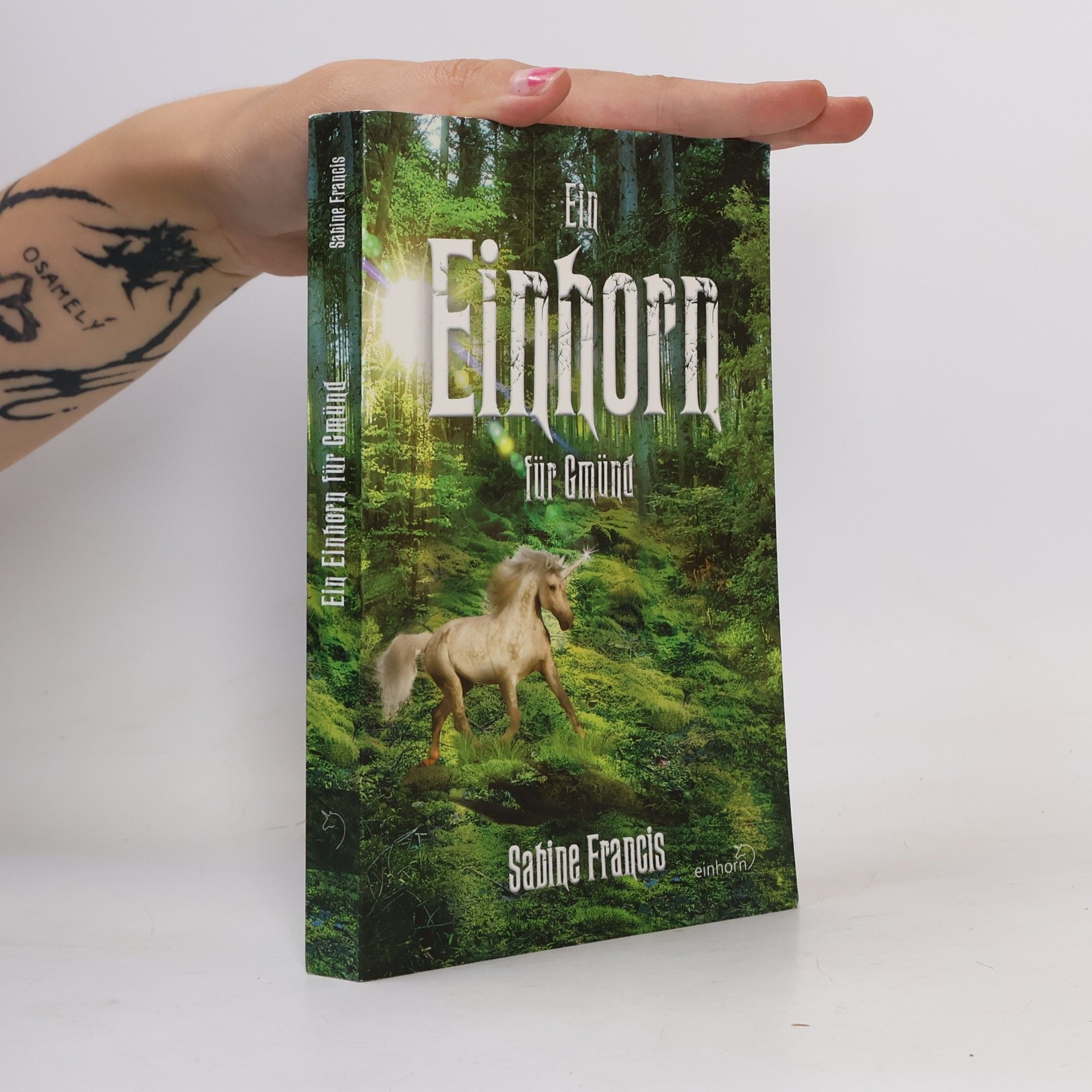Sabine Francis Ein Einhorn für Gmünd