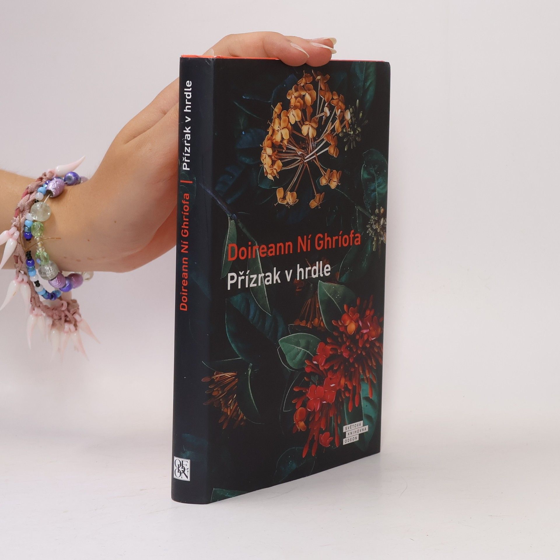 Doireann Ní Ghríofa Přízrak v hrdle