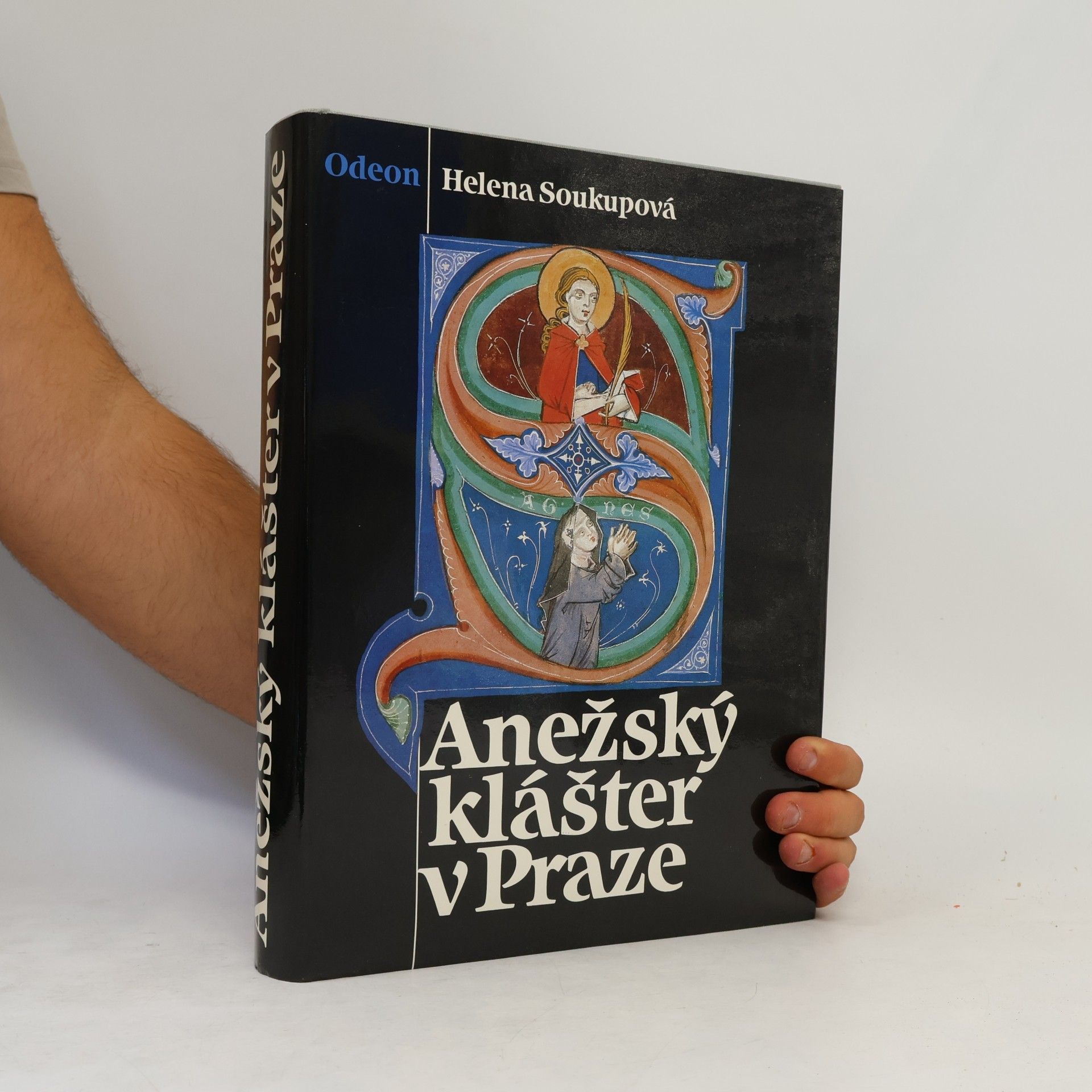 Helena Soukupová Anežský klášter v Praze