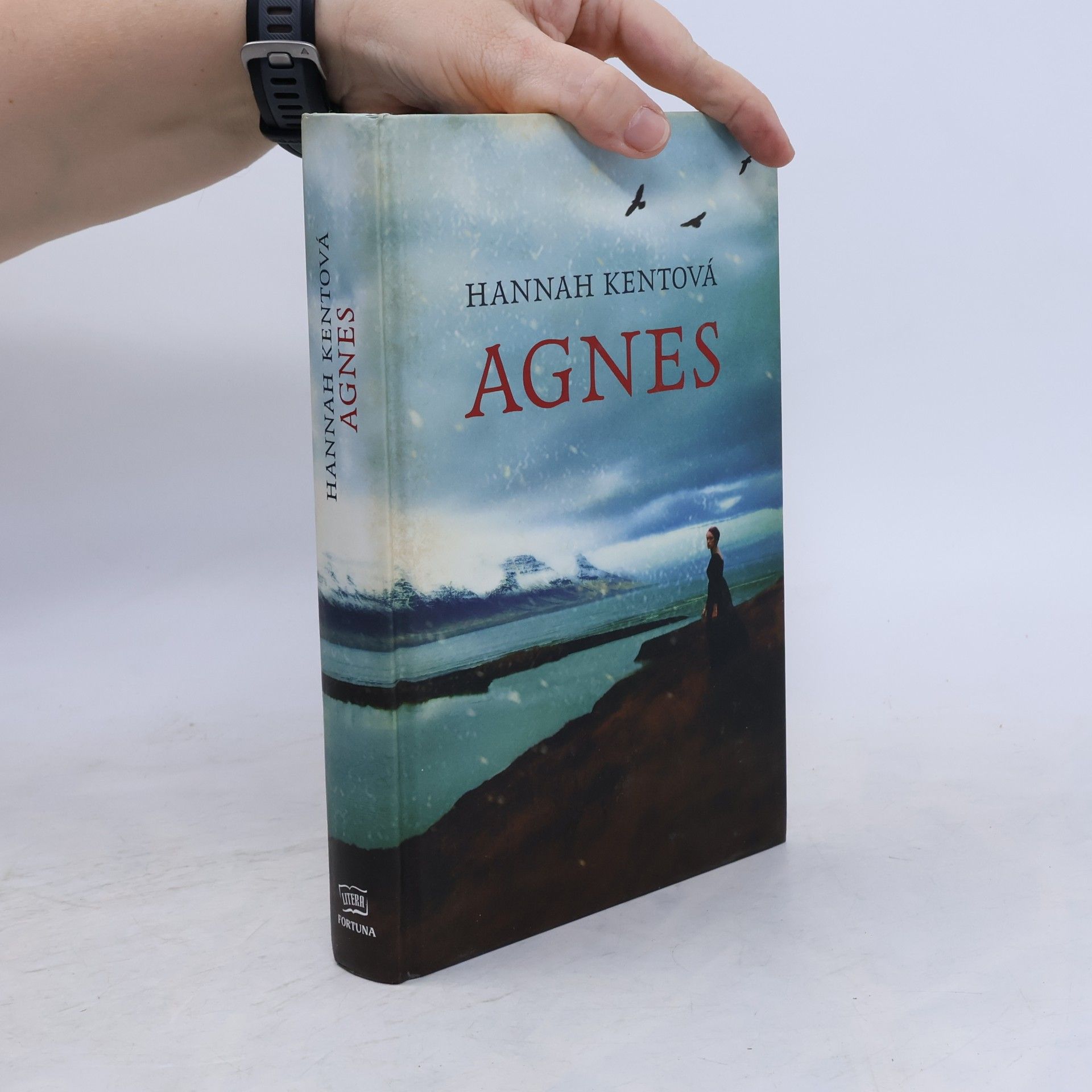 Hannah Kent Agnes