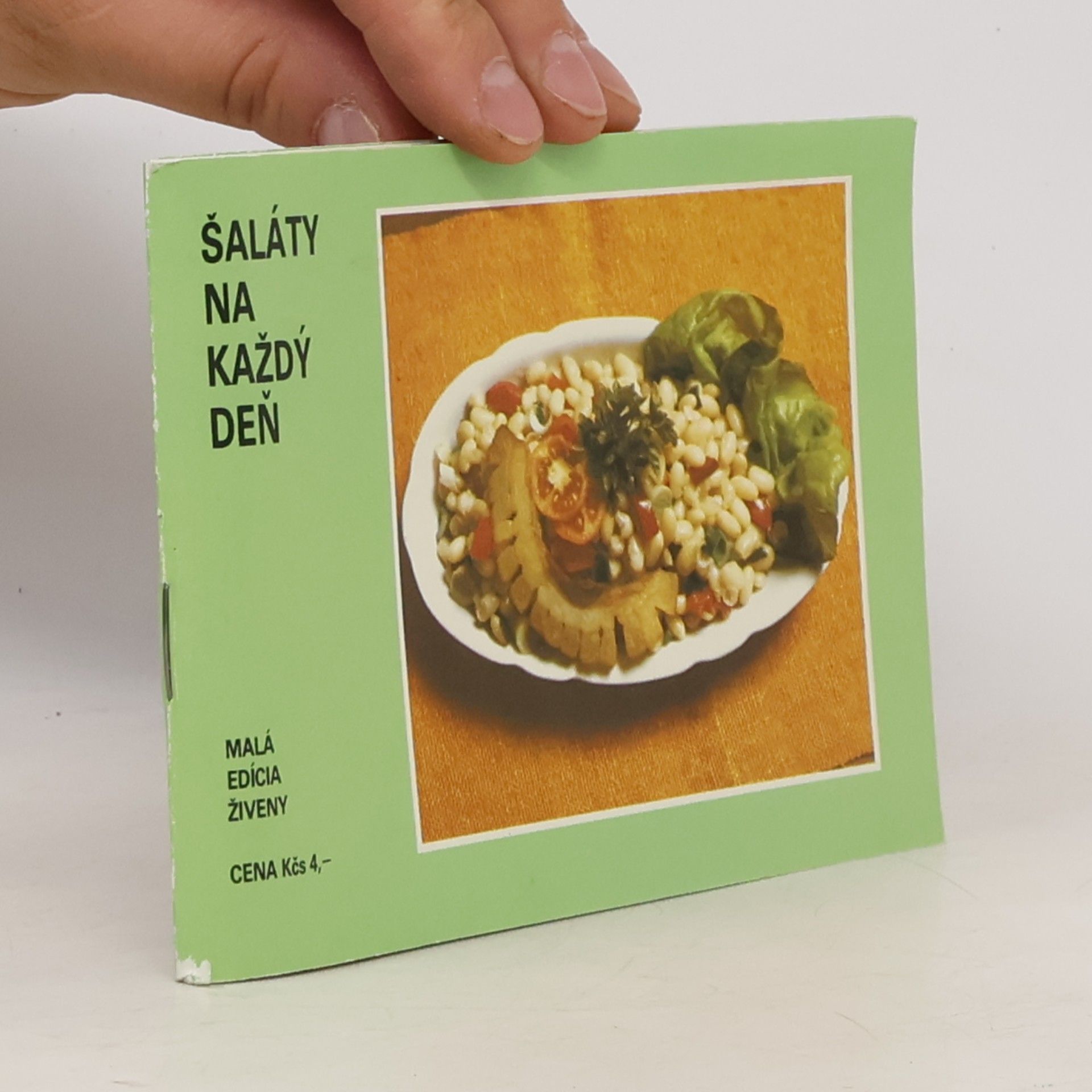Karin Pribišová Šaláty na každý deň