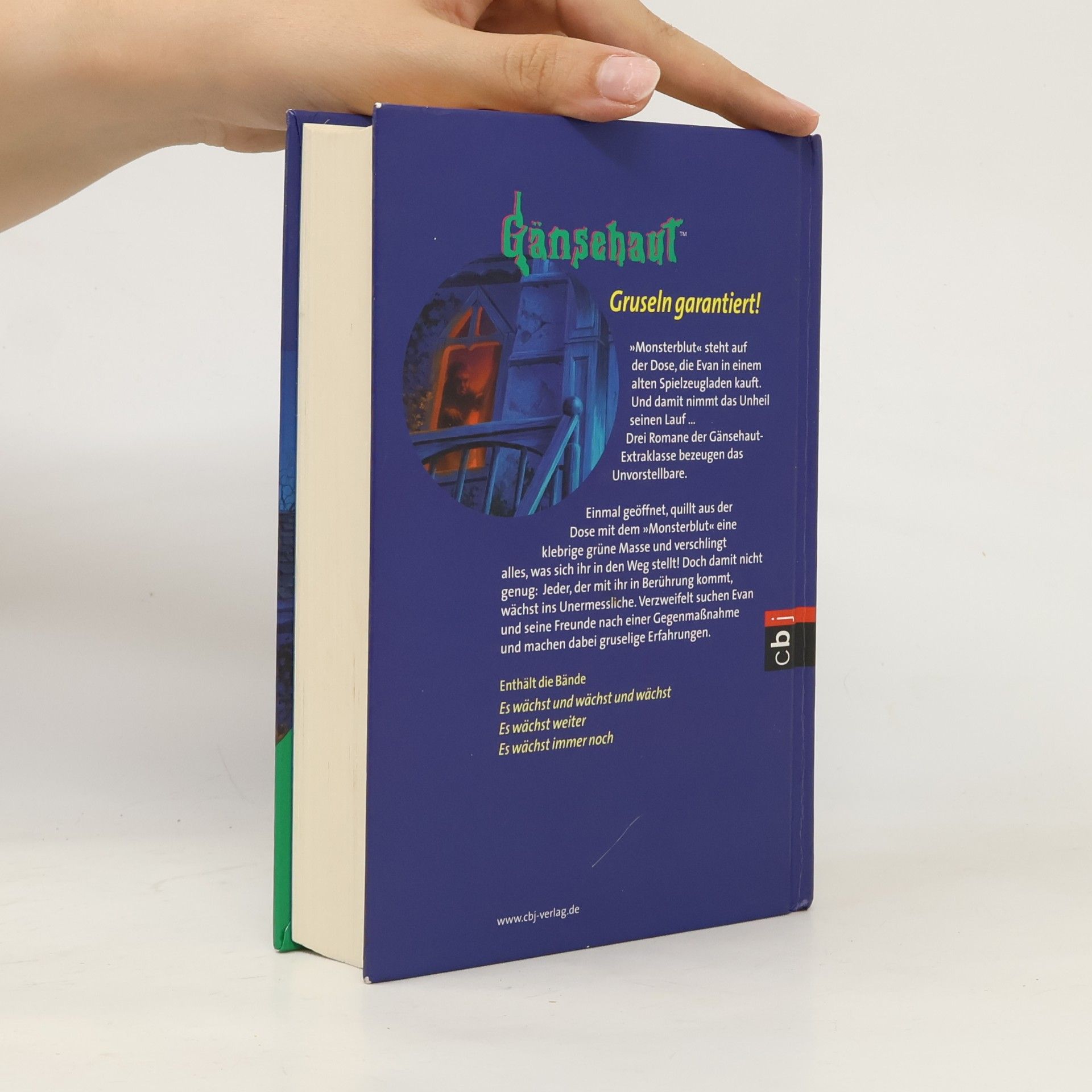 R. L. Stine Gänsehaut - Monsterblut