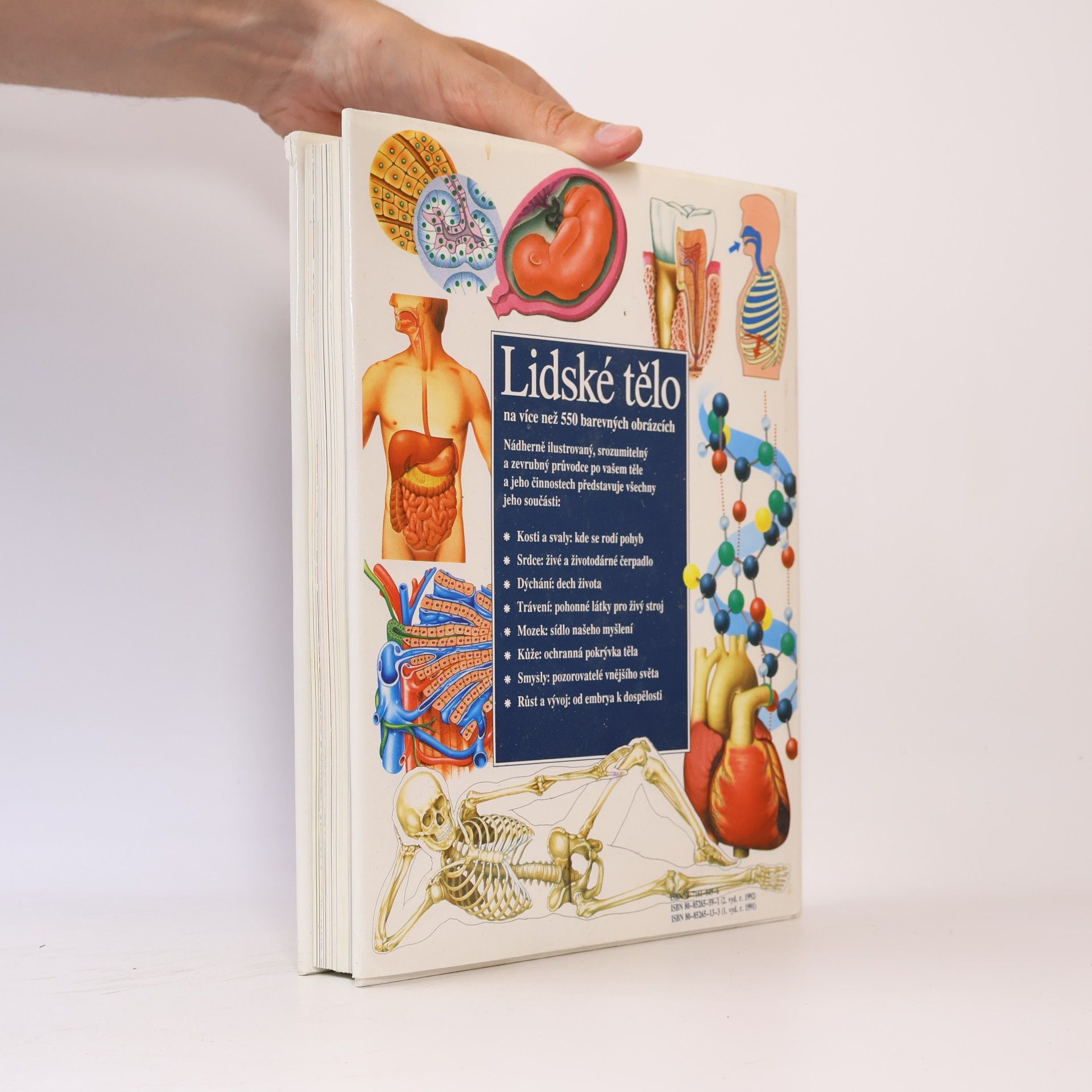 Various authors Lidské tělo: Srozumitelný a zevrubný průvodce po strukturách a funkcích lidského organismu