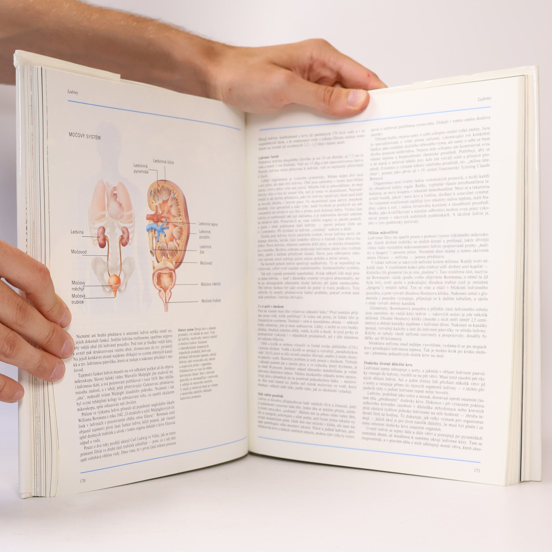 Various authors Lidské tělo: Srozumitelný a zevrubný průvodce po strukturách a funkcích lidského organismu