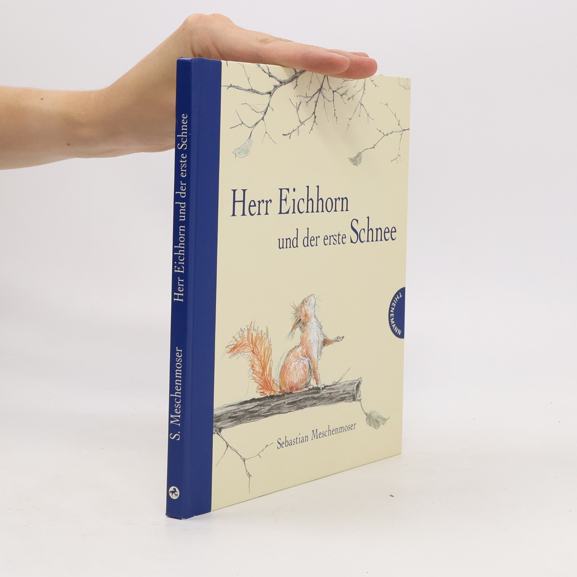 Sebastian Meschenmoser Herr Eichhorn und der erste Schnee