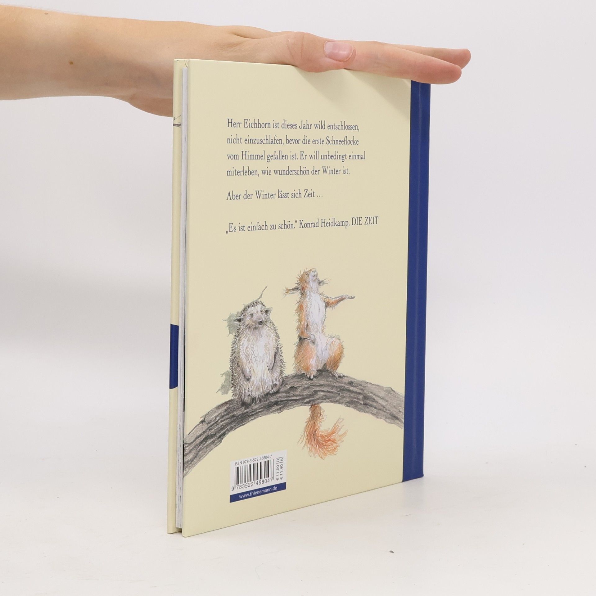 Sebastian Meschenmoser Herr Eichhorn und der erste Schnee