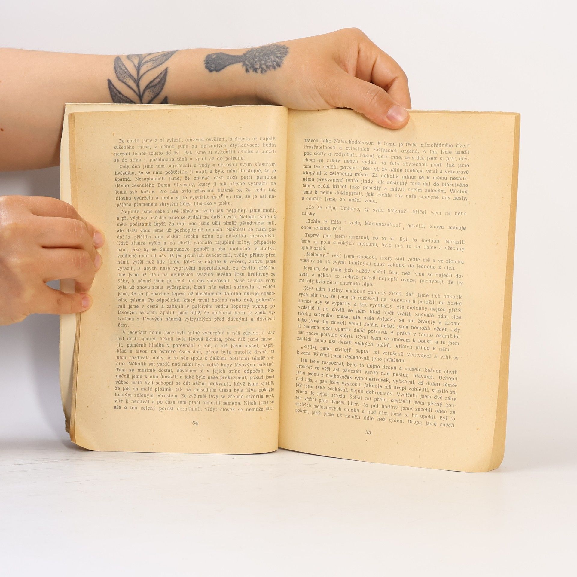 H. Rider Haggard Doly krále Šalamouna