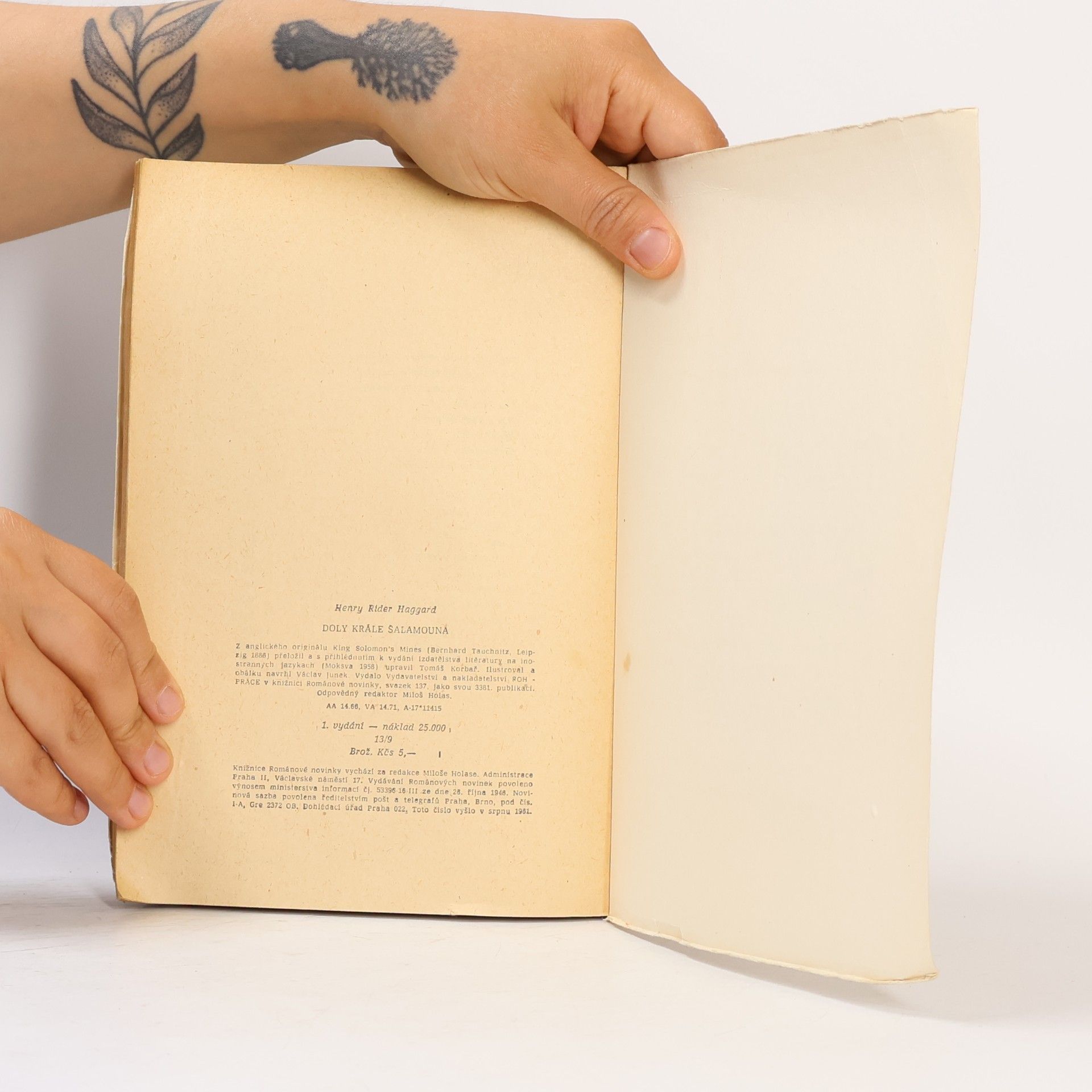 H. Rider Haggard Doly krále Šalamouna