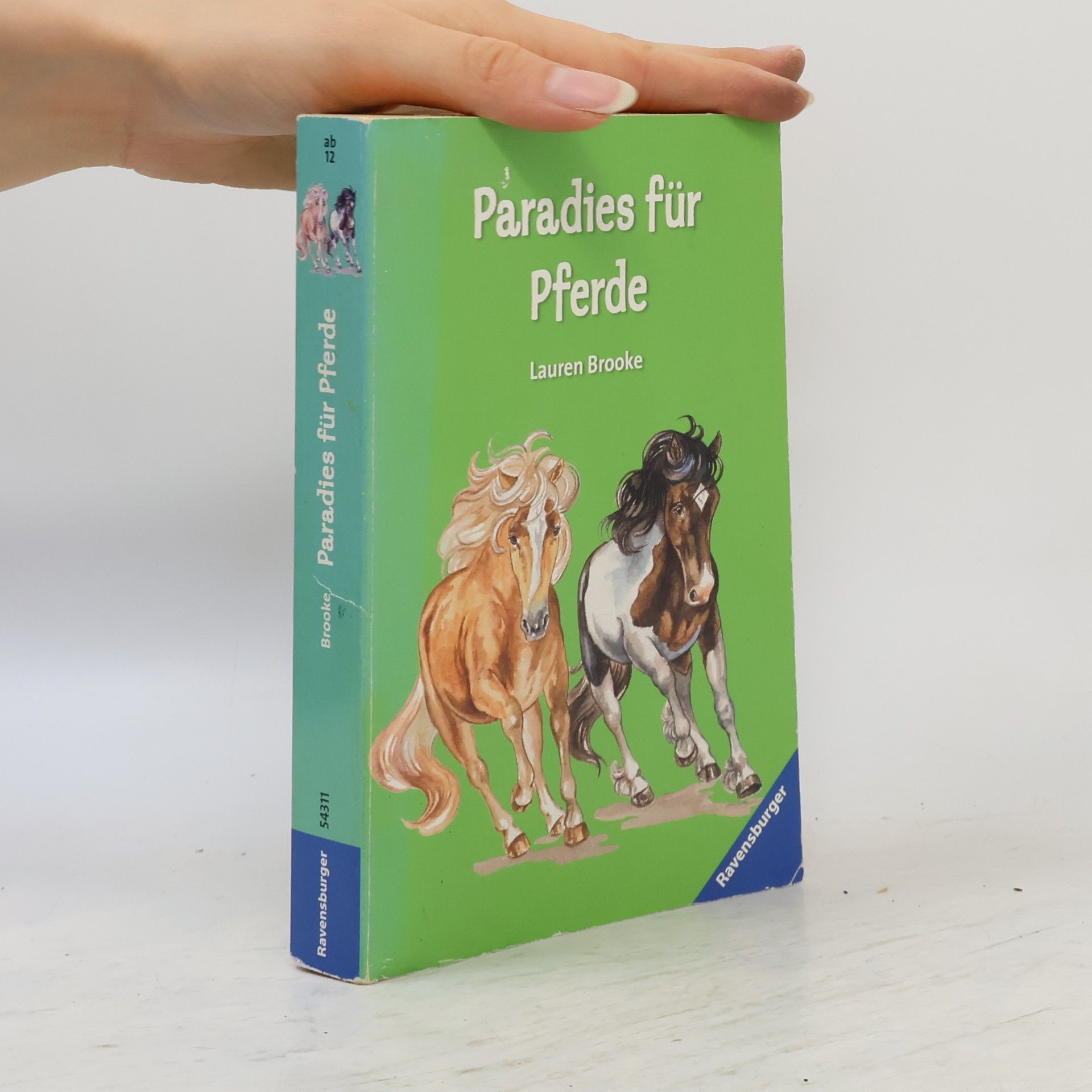 Paradies für Pferde