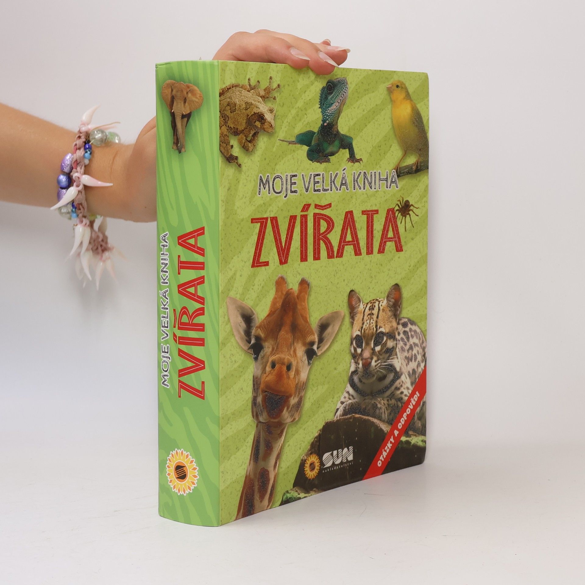 Zvířata