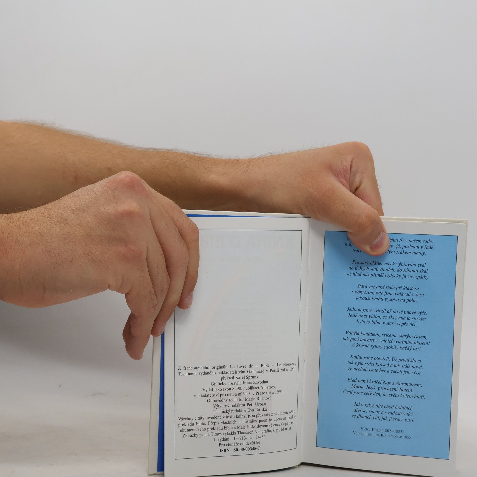Collectif d'auteurs Kniha o Bibli. Nový zákon