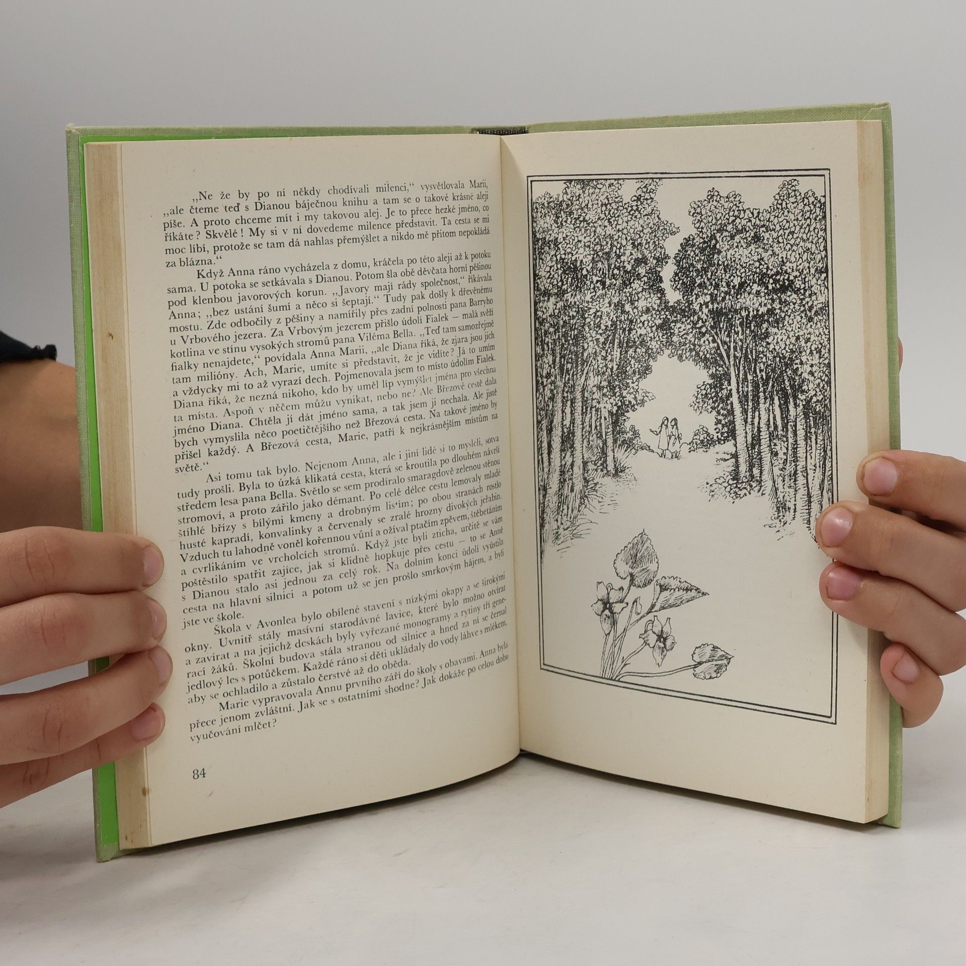 Lucy Maud Montgomery Anna ze Zeleného domu