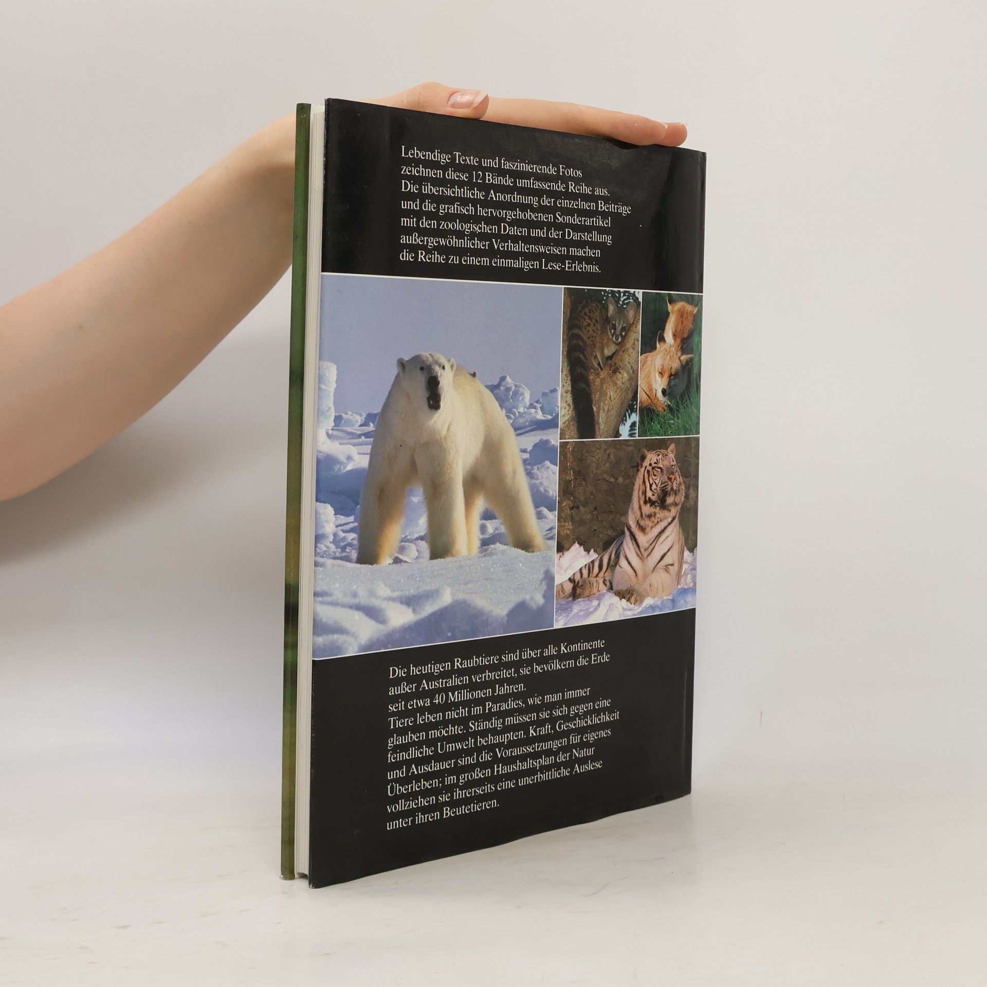 Kolektiv autorů Die Tiere unserer Welt 1. Raubtiere