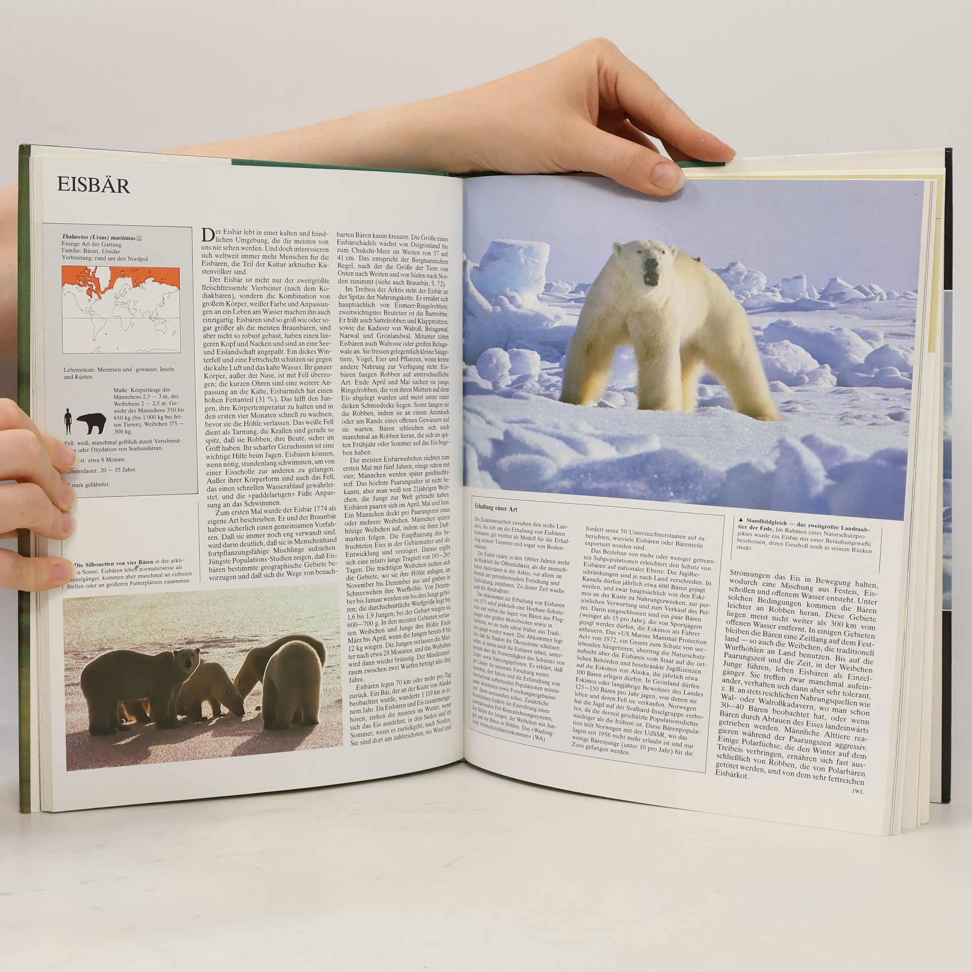 Kolektiv autorů Die Tiere unserer Welt 1. Raubtiere