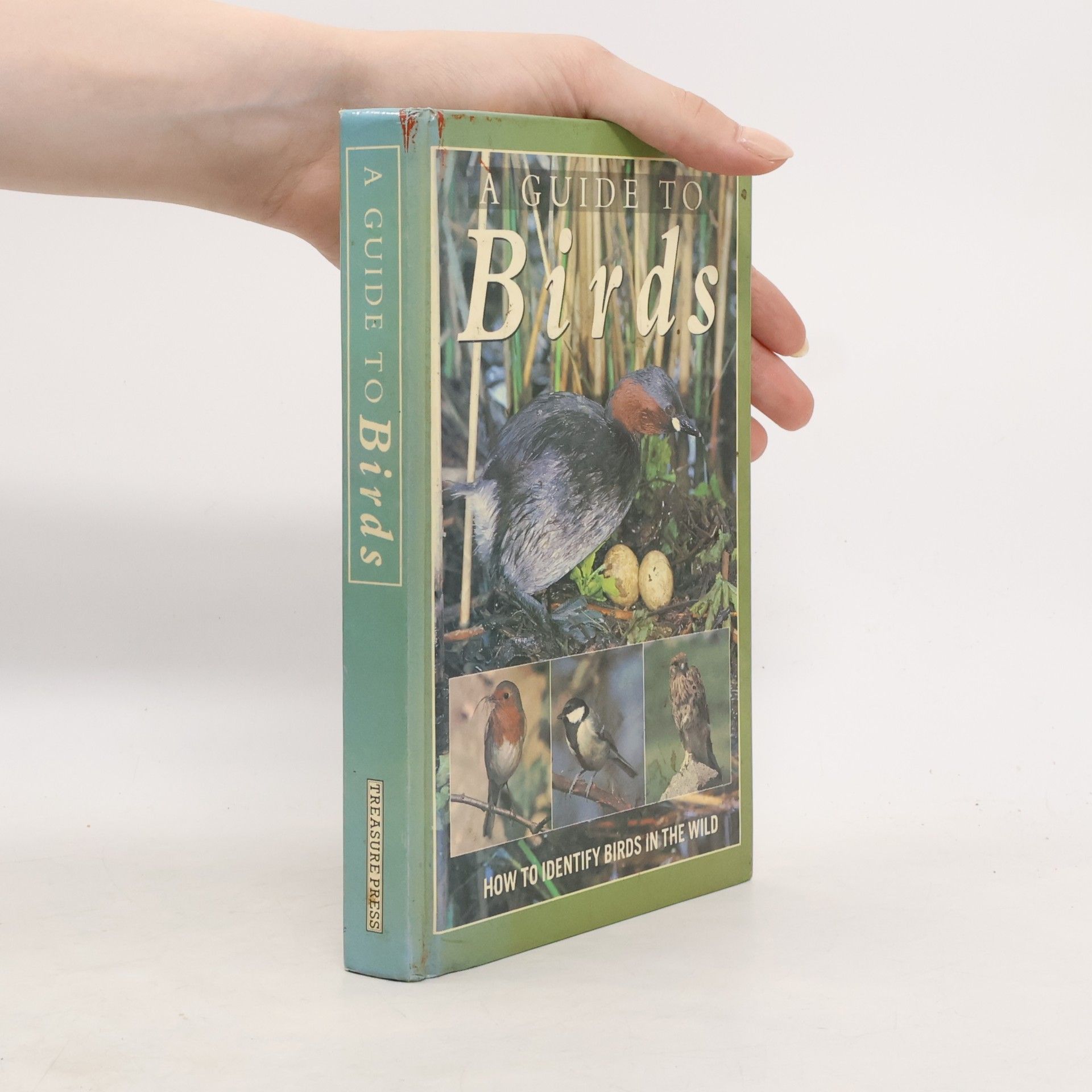 . Olga Kuthanova A Guide to Birds