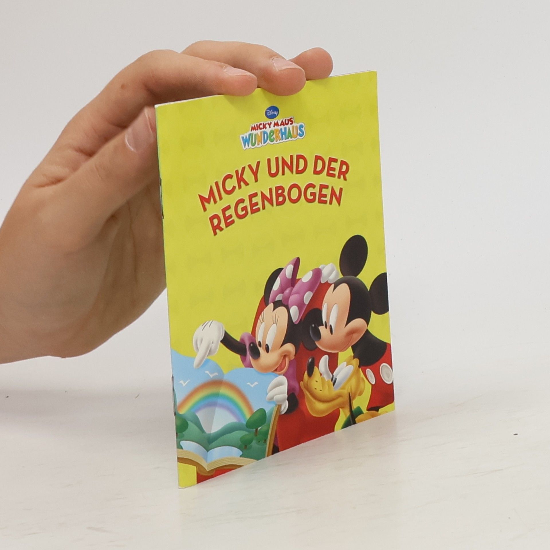 Autorenkollektiv Micky und der Regenbogen