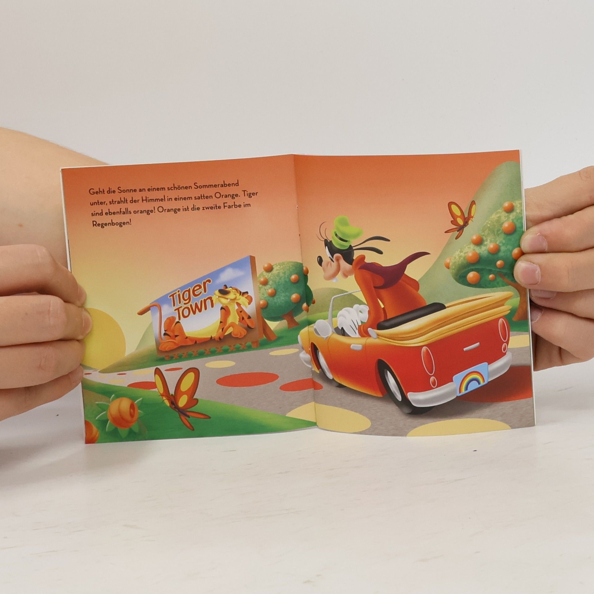 Autorenkollektiv Micky und der Regenbogen