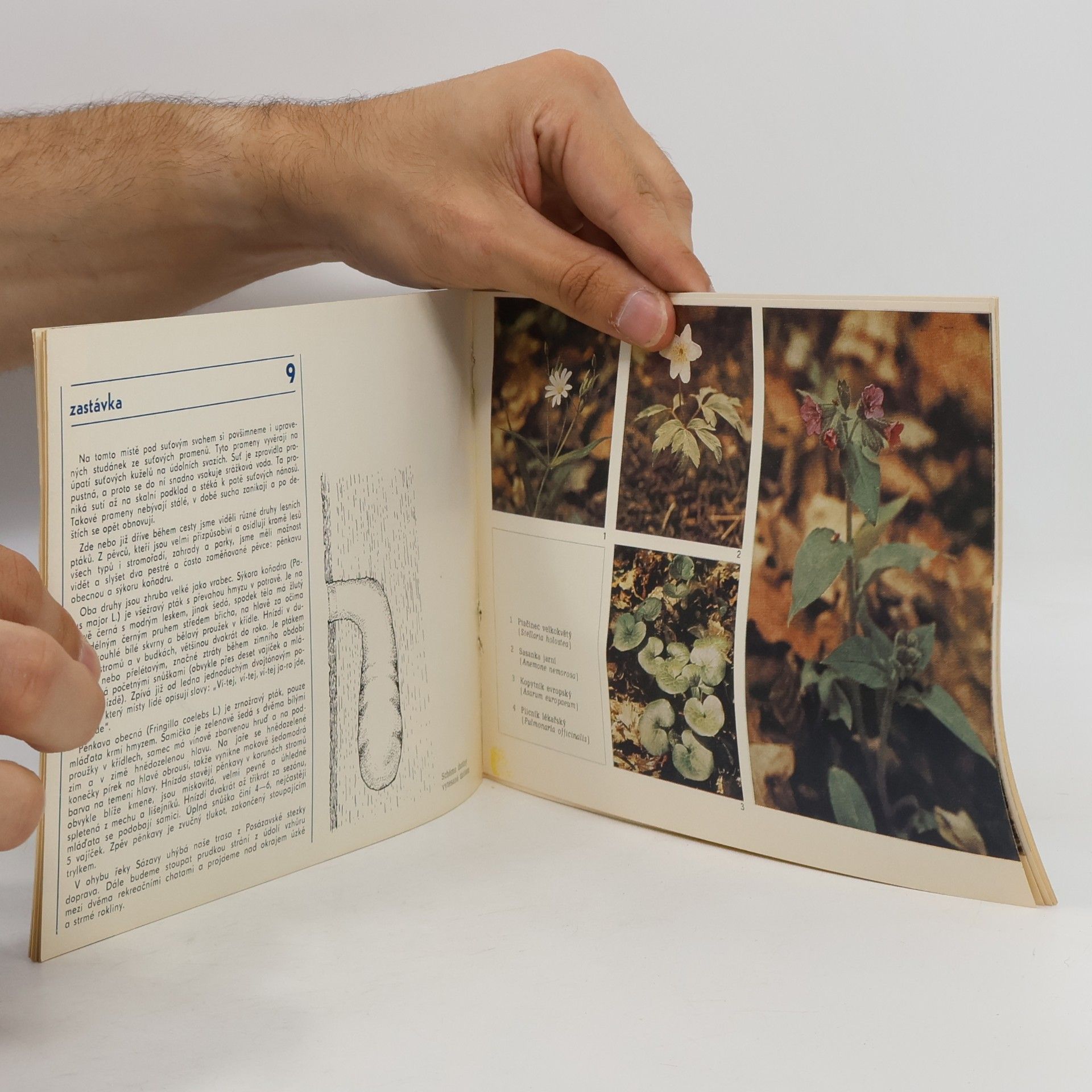 Various authors Medník. Průvodce naučnou stezkou