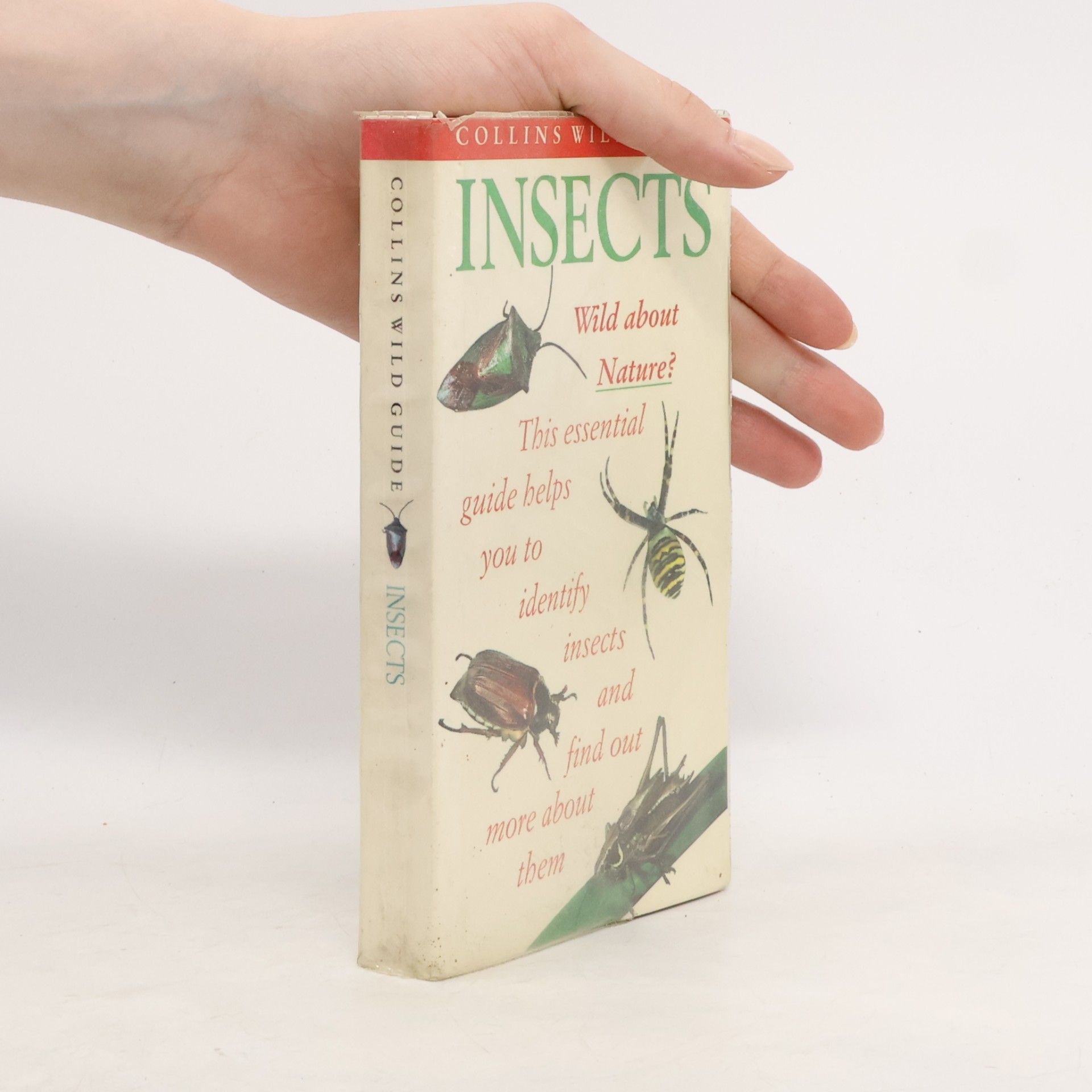 Bob Gibbons Insects
